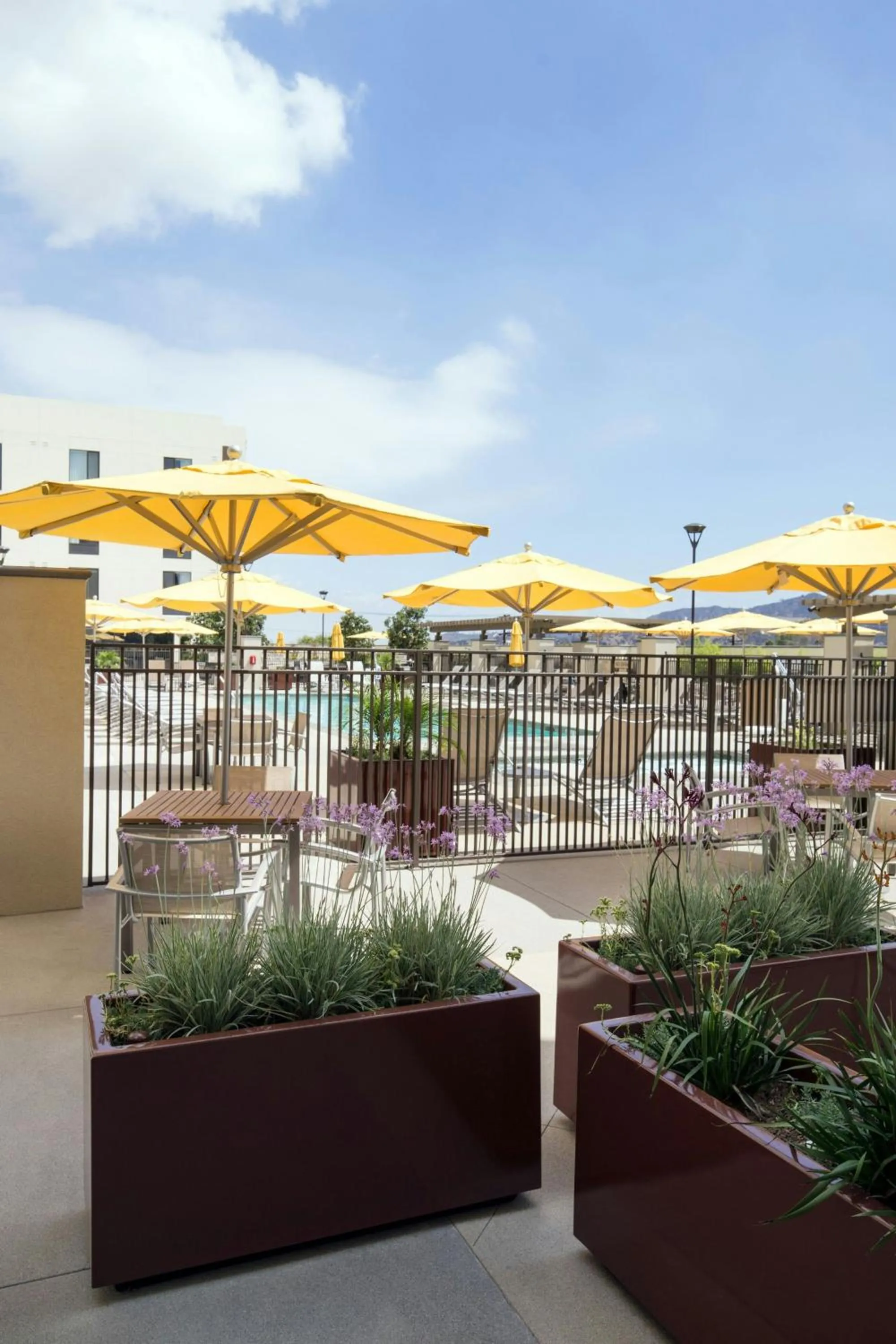 Swimming pool in SpringHill Suites by Marriott Los Angeles Burbank/Downtown