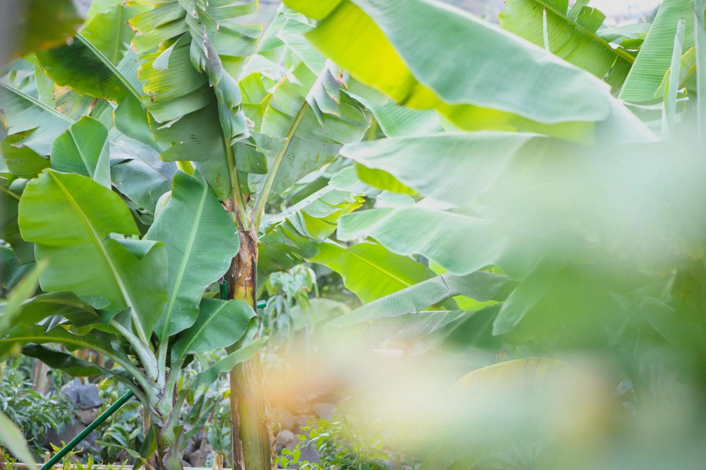 Nearby landmark in Suites Los Telares - Adults Recommended