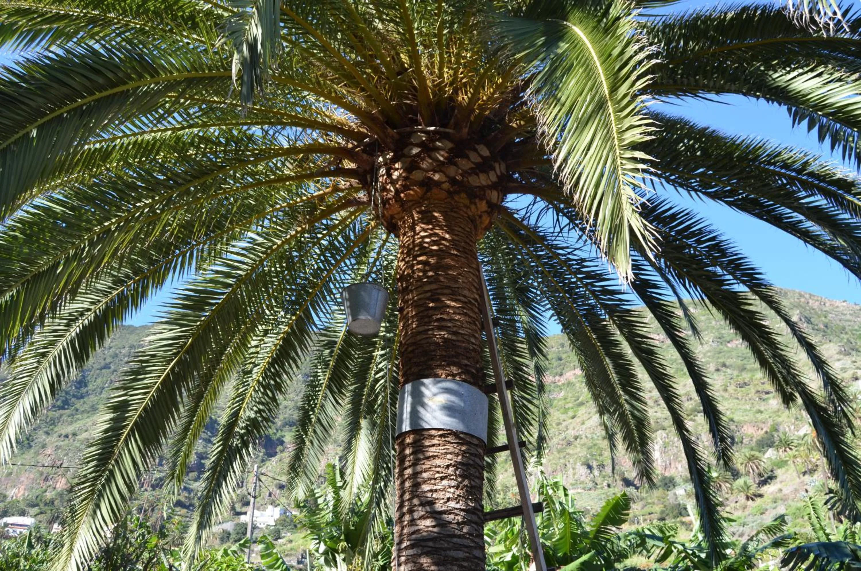 Nearby landmark in Suites Los Telares - Adults Recommended