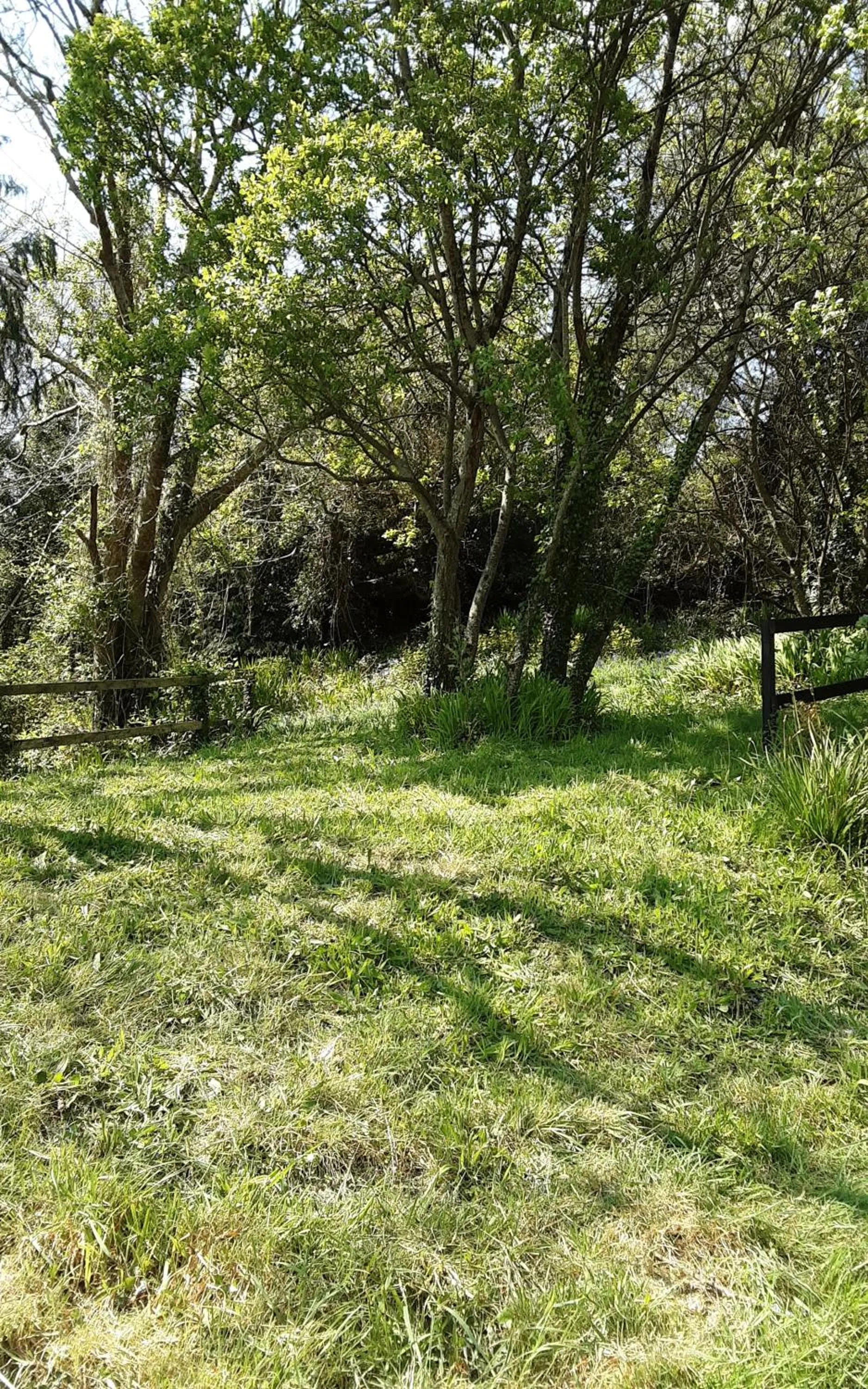 Garden in Sea Lodge B&B