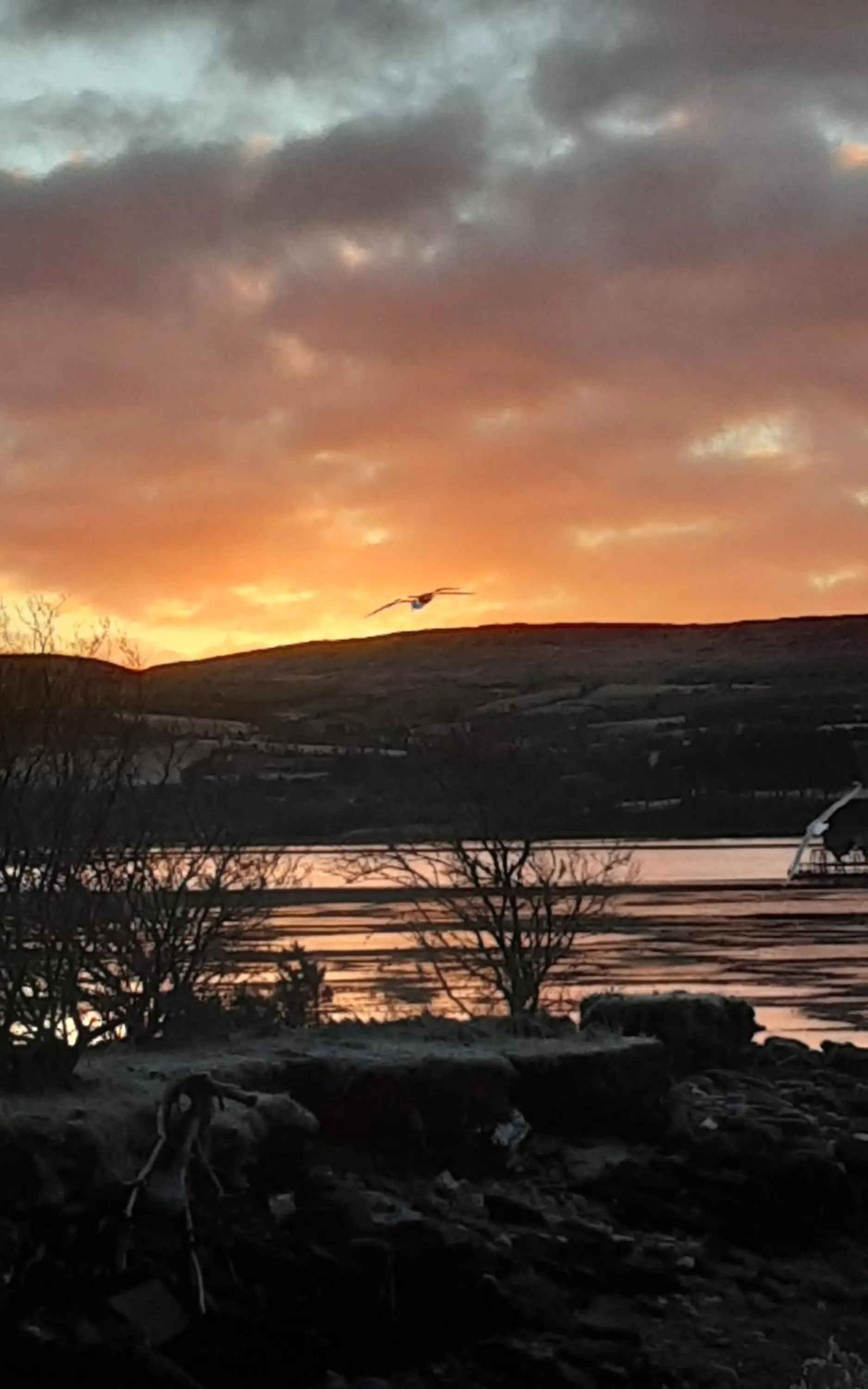 Sunset in Sea Lodge B&B