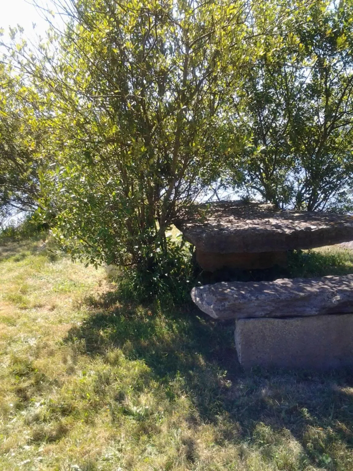 Nearby landmark in Sea Lodge B&B