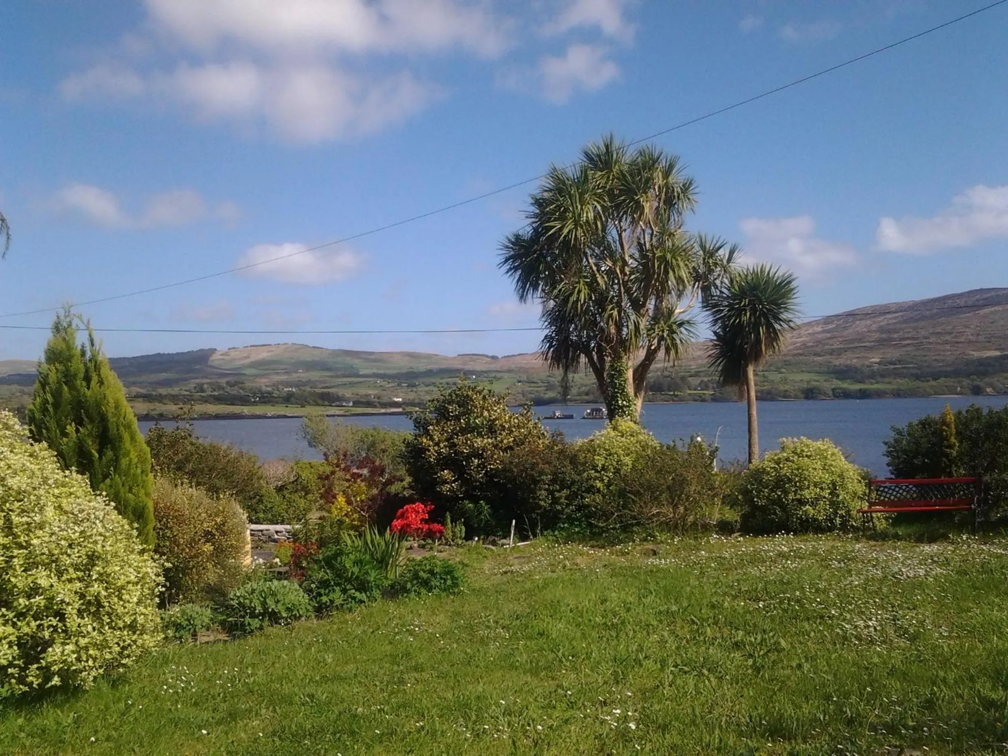 Garden in Sea Lodge B&B