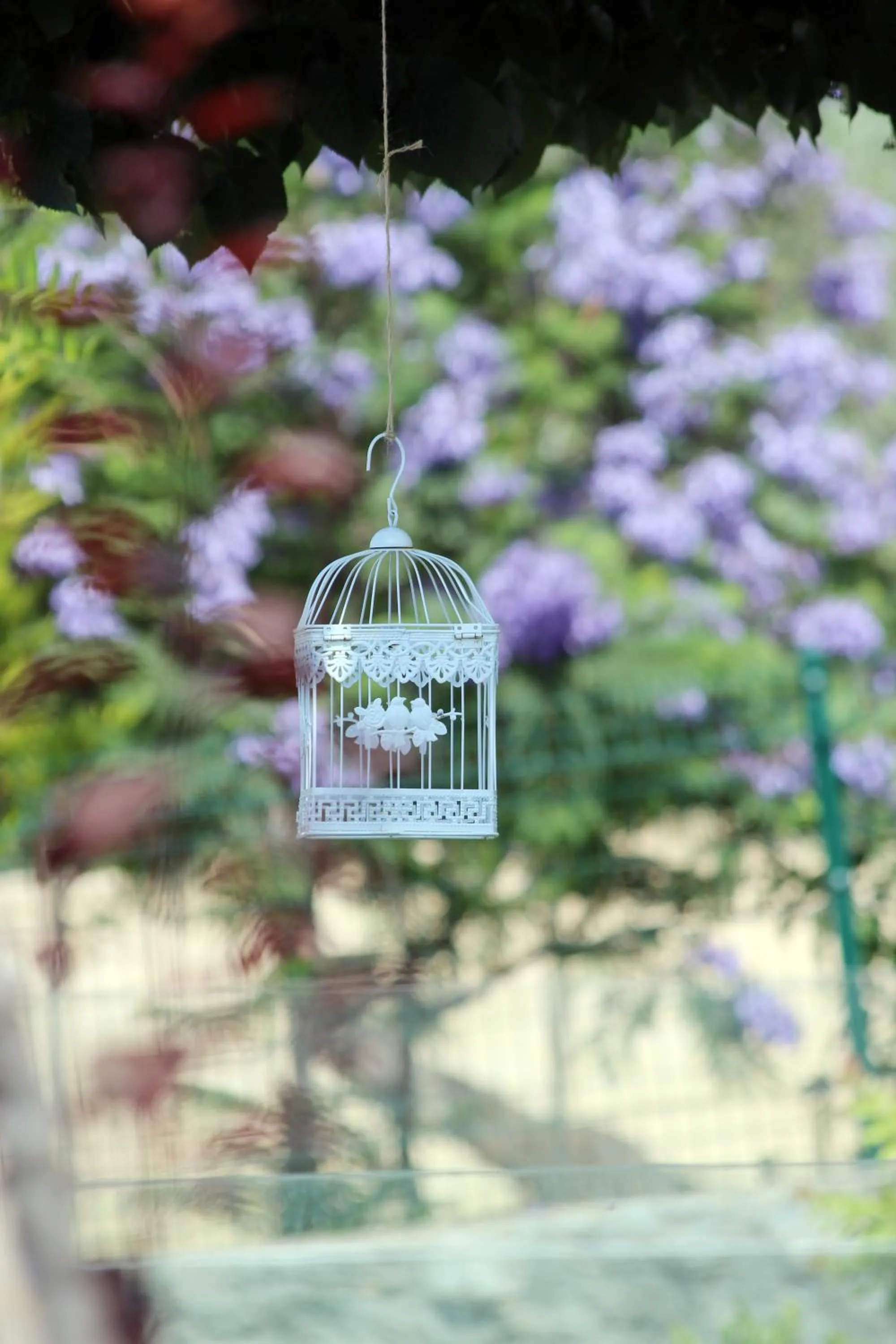 Garden view in Dibek Homes Villa & Hotel