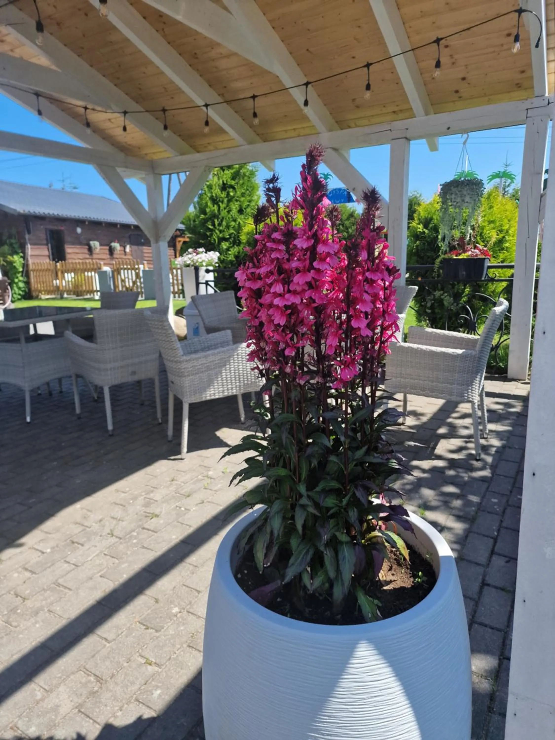 Garden in Villa Dolce Vita