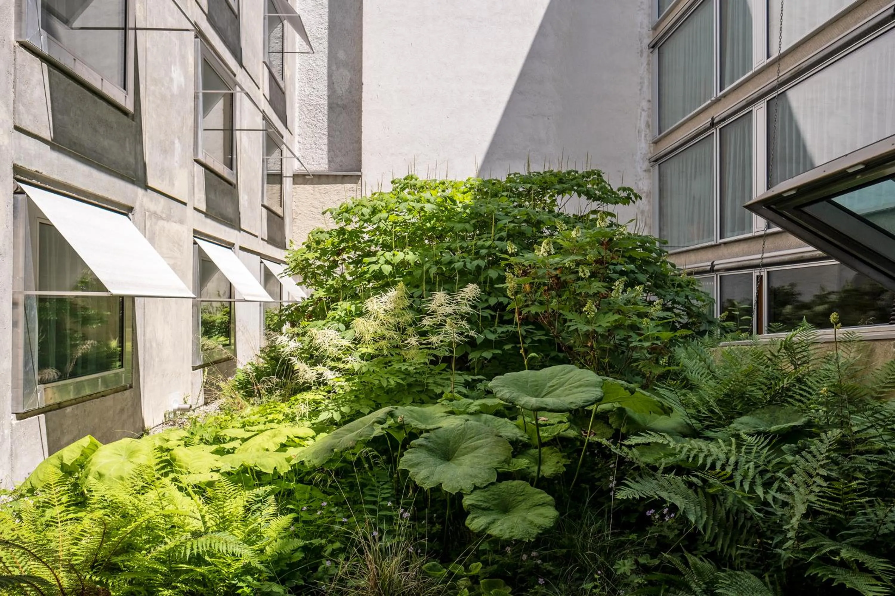 Garden in Nomad Design & Lifestyle Hotel