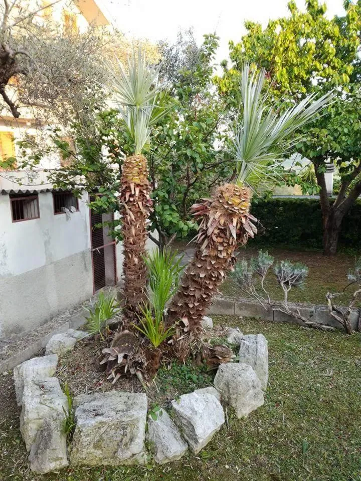 Le sorelle gemelle B&B