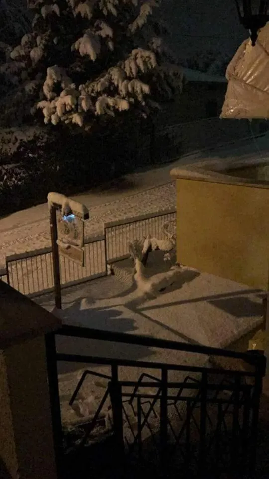 Le sorelle gemelle B&B