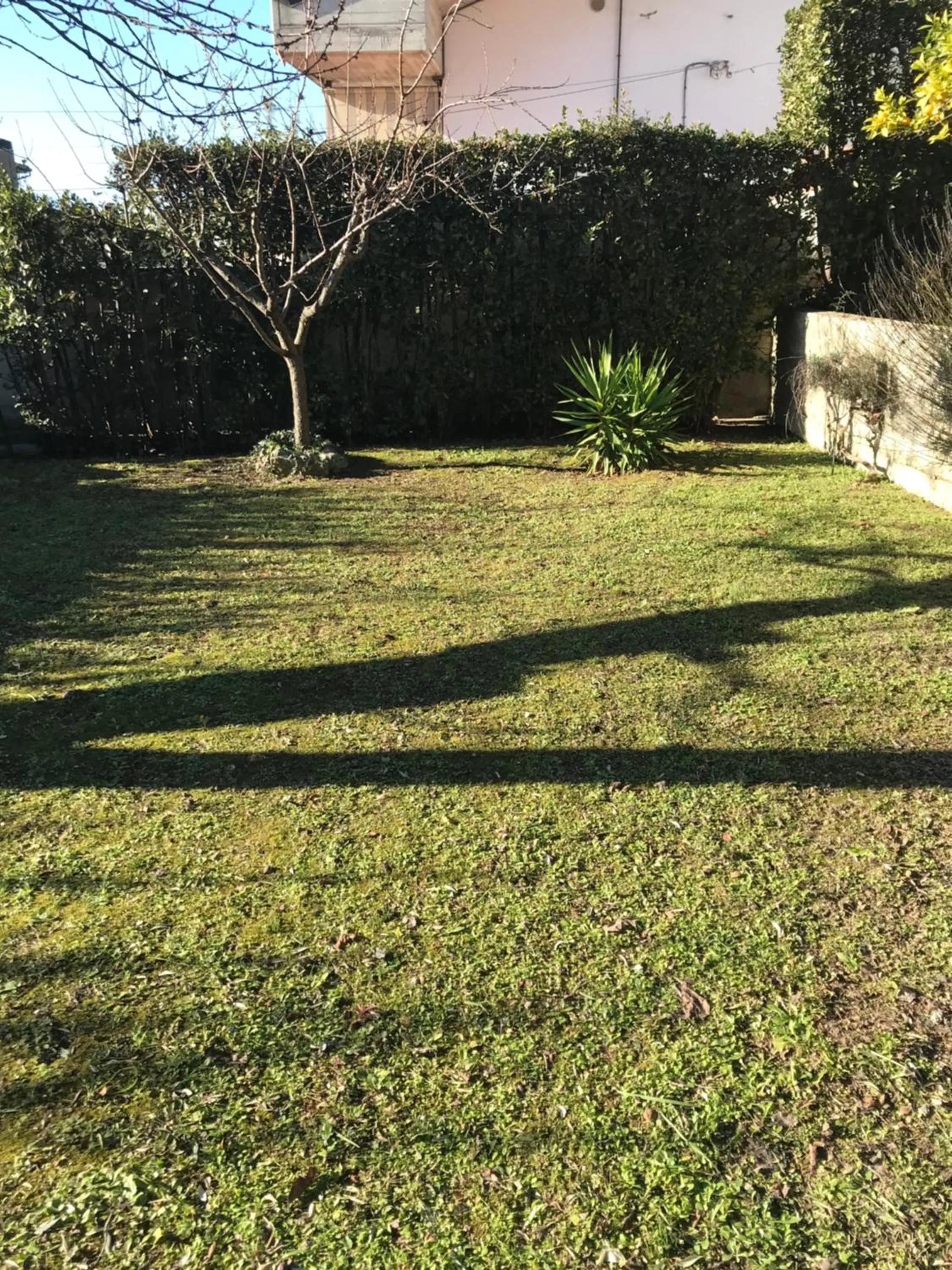 View (from property/room) in Le sorelle gemelle B&B