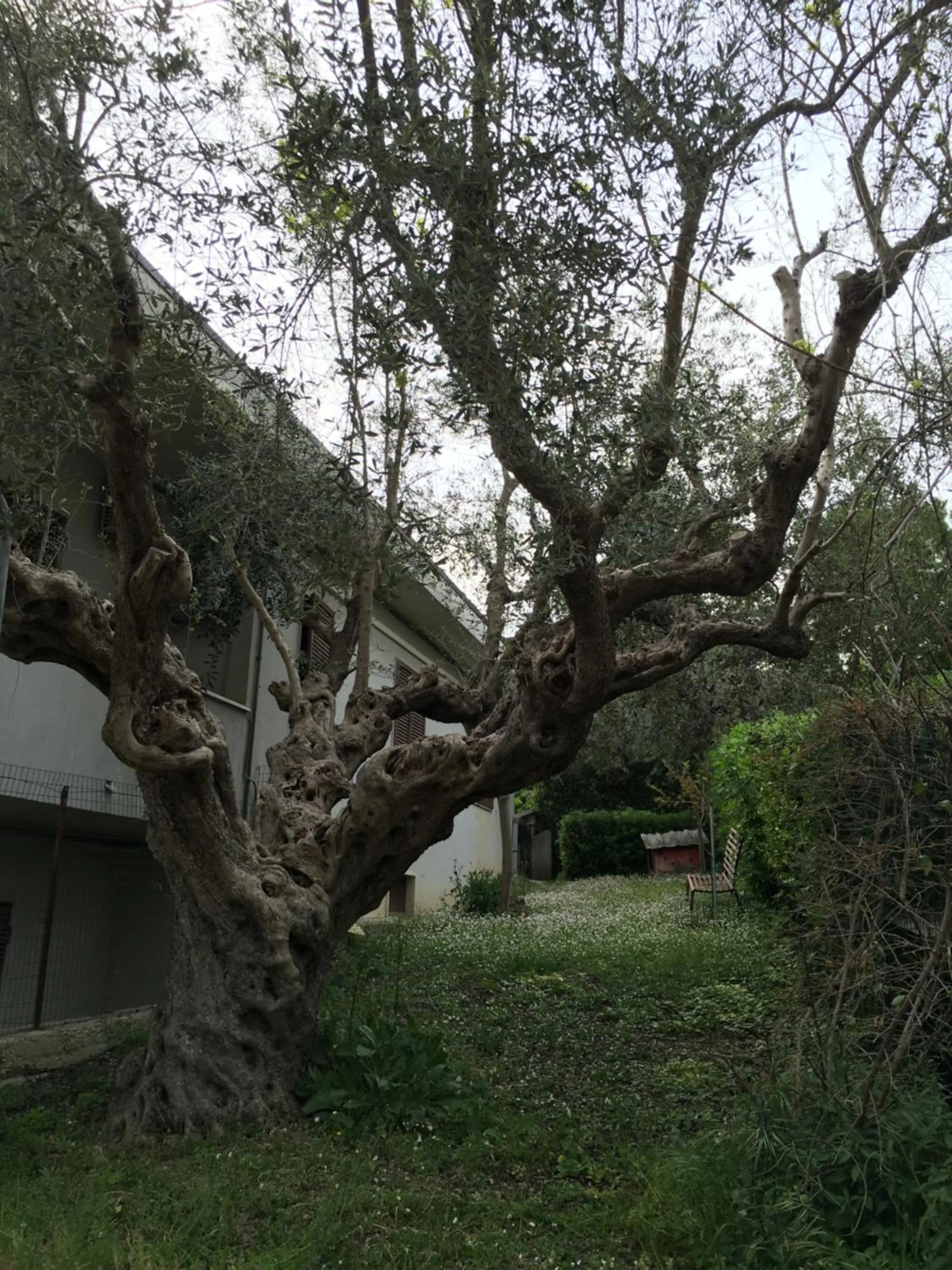 Garden in Le sorelle gemelle B&B