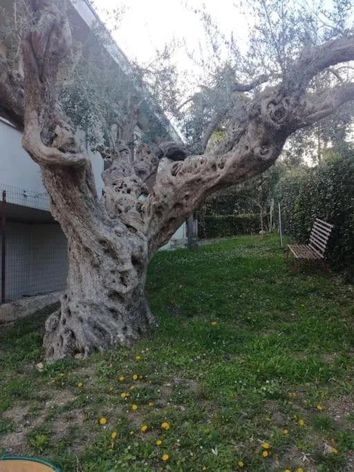 Le sorelle gemelle B&B