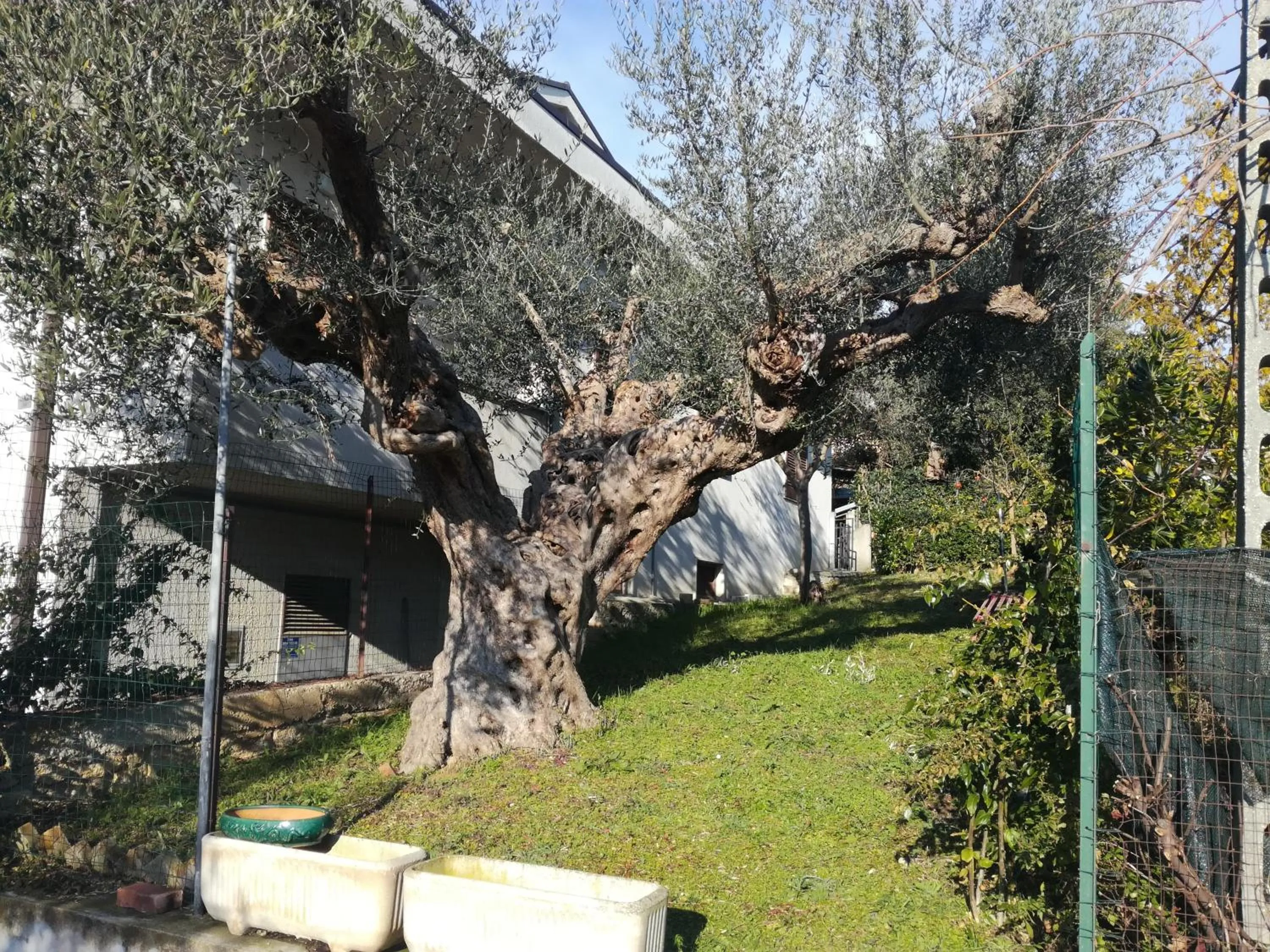 Le sorelle gemelle B&B