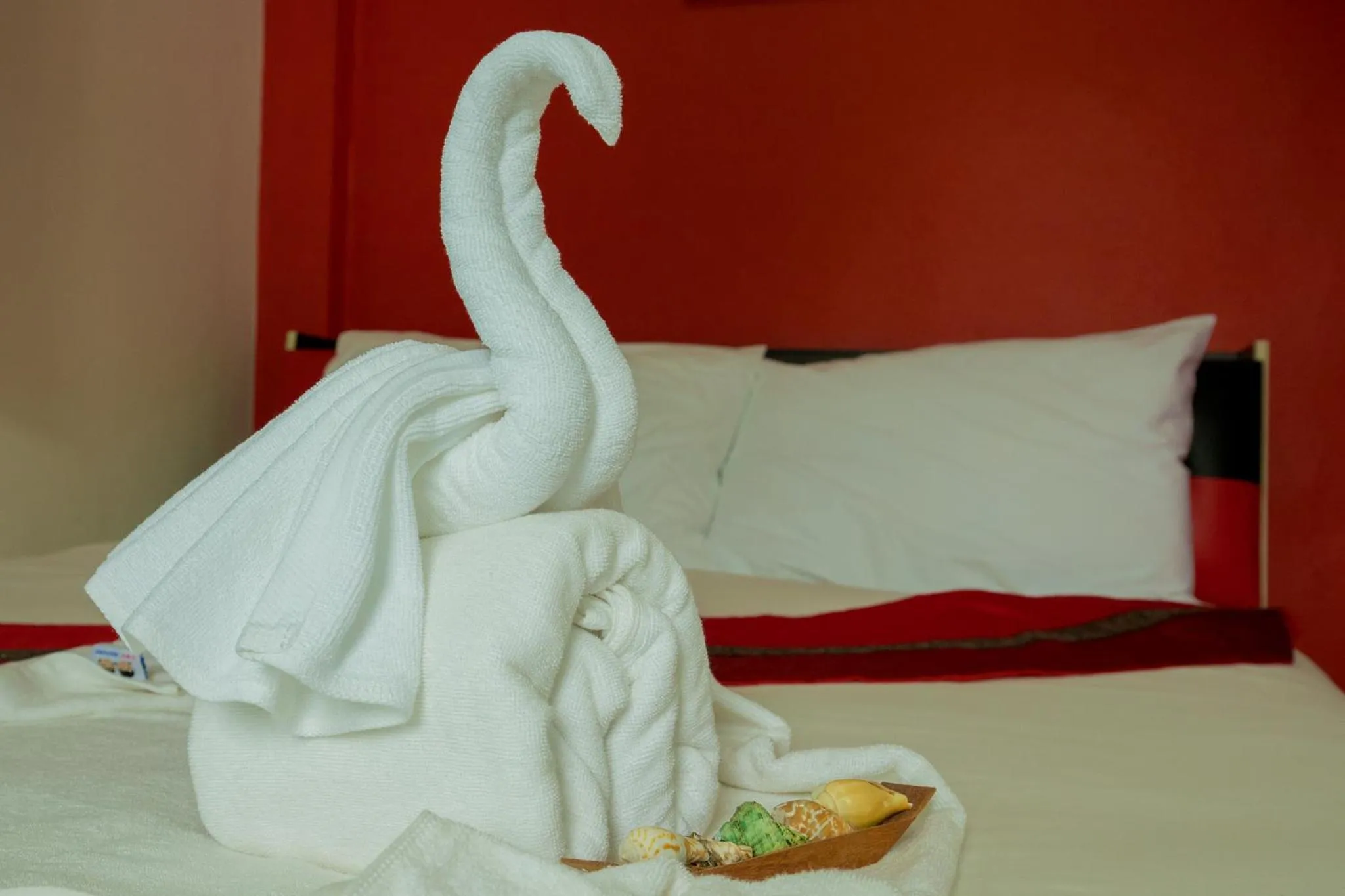 Bed in C.Samui Guesthouse