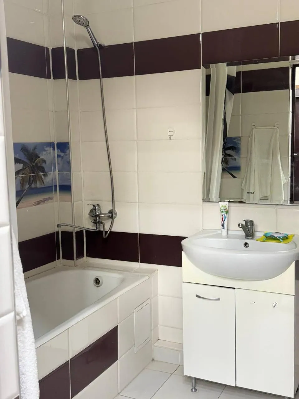 Shower in AlaNest Apartment