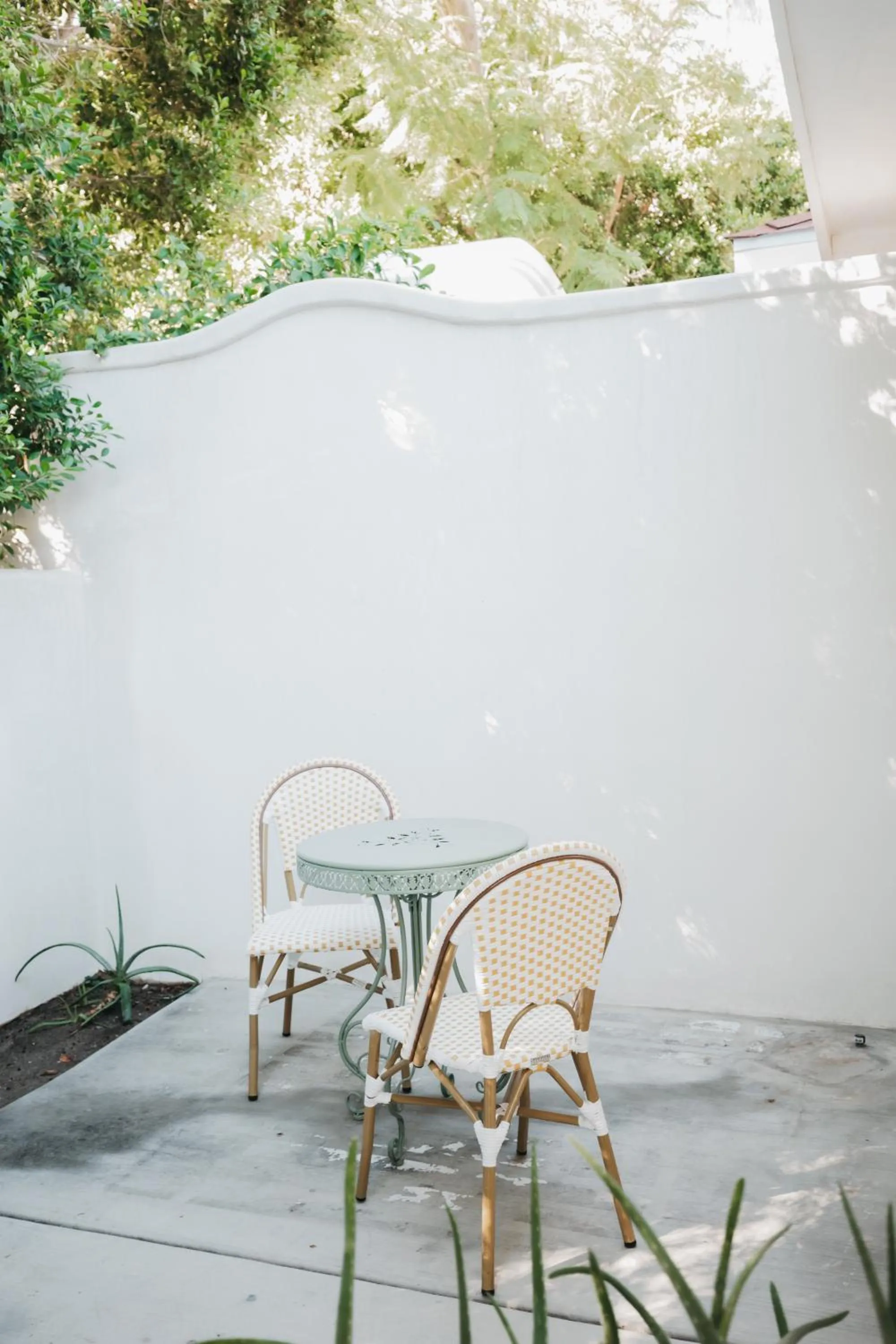 Patio in Casa Palma Hotel & Bungalows