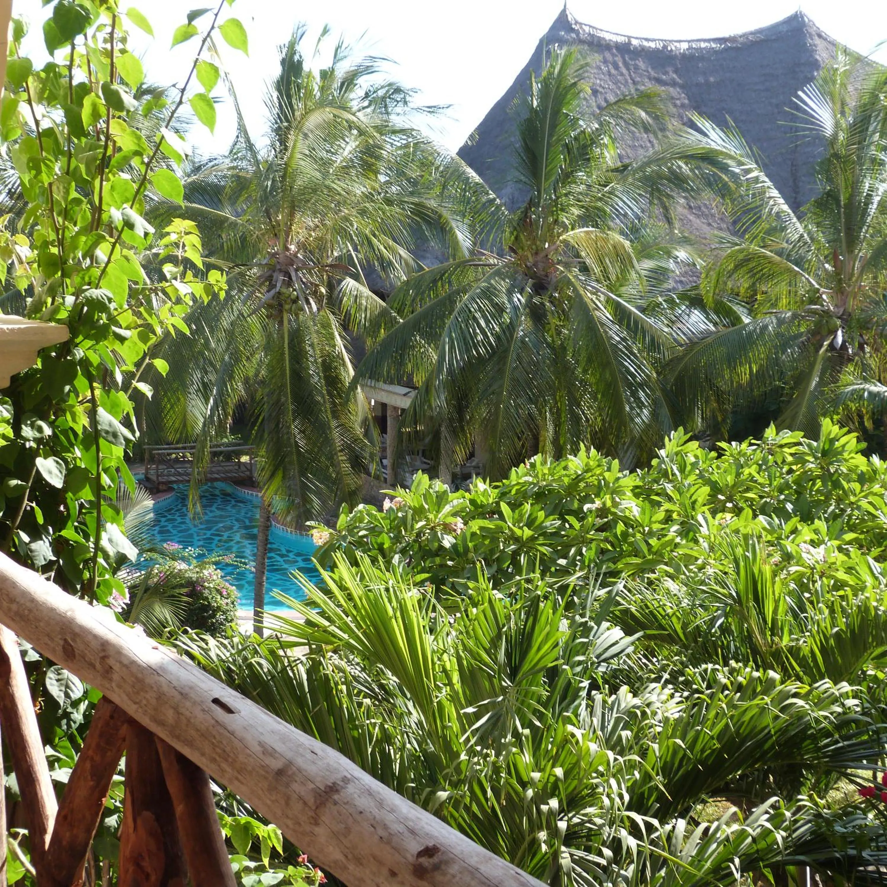 Garden view in Aquarius Club