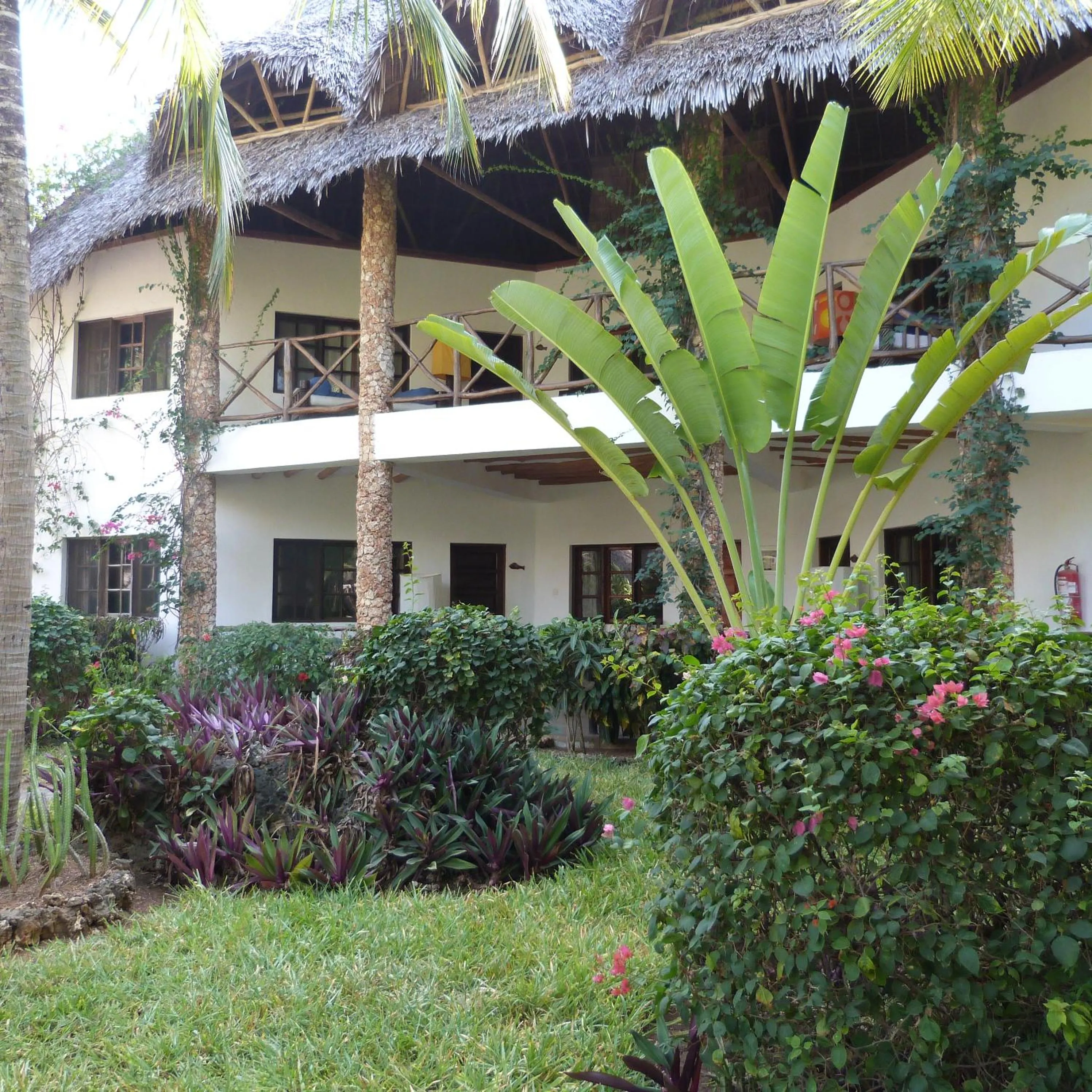 Garden view in Aquarius Club