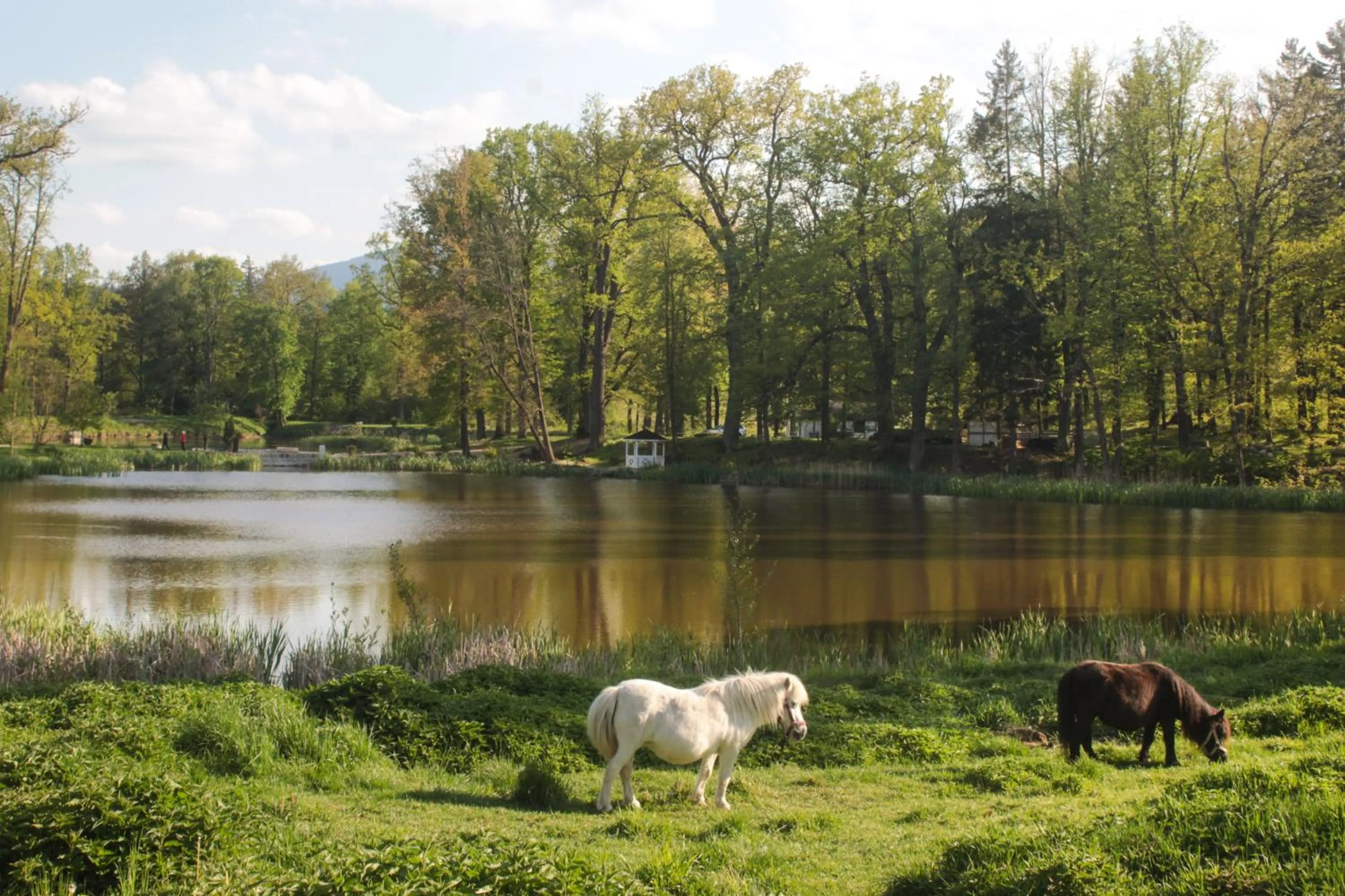 Zamek Karpniki Schloss Fischbach