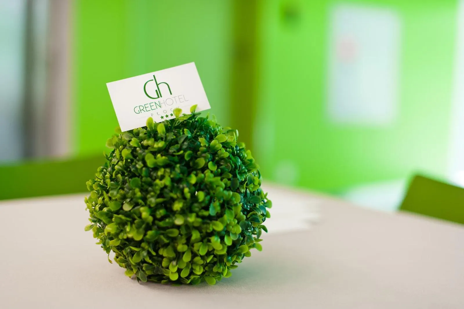 Other in Green Hotel Płock