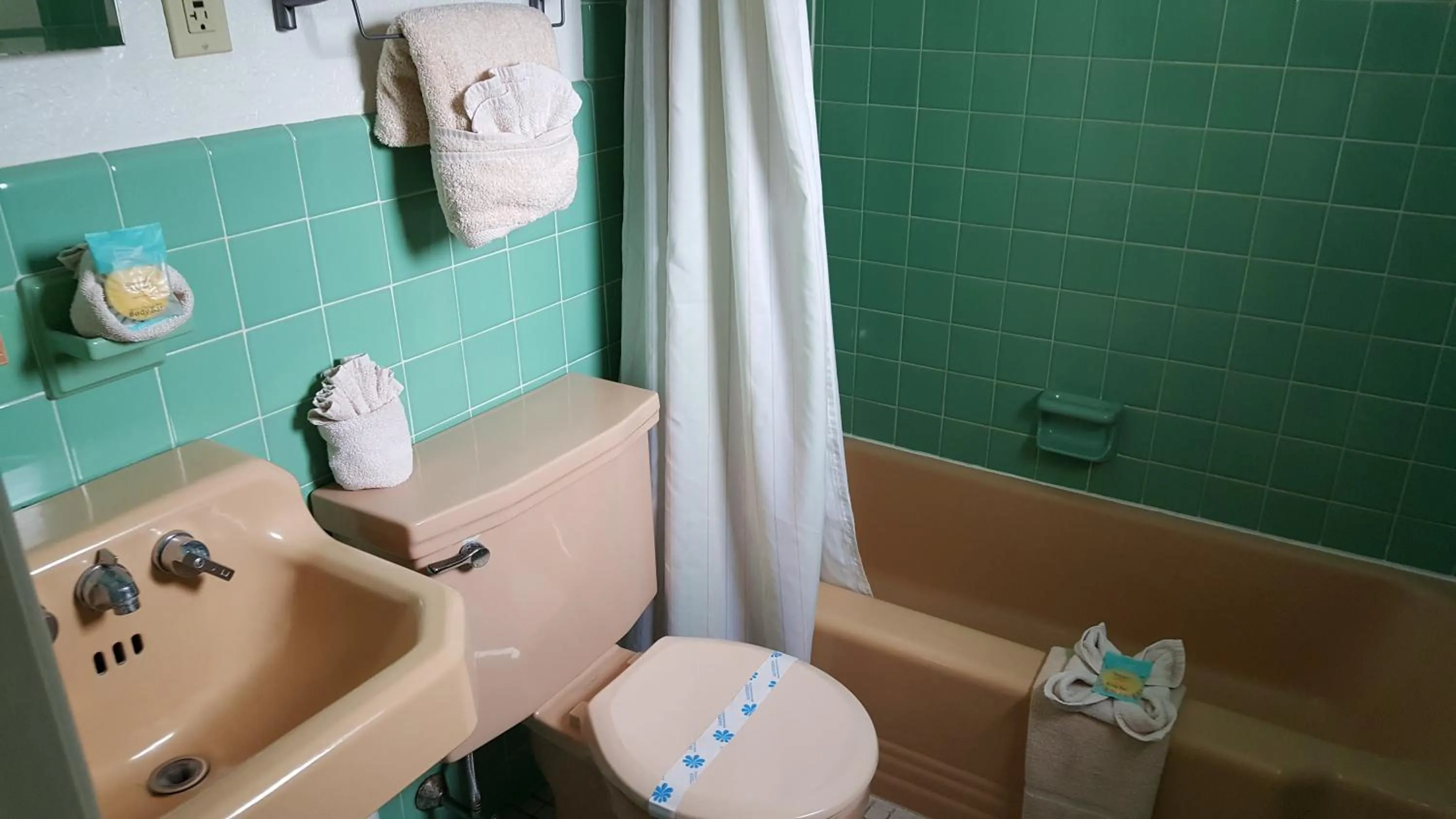 Shower in Caribbean Motel