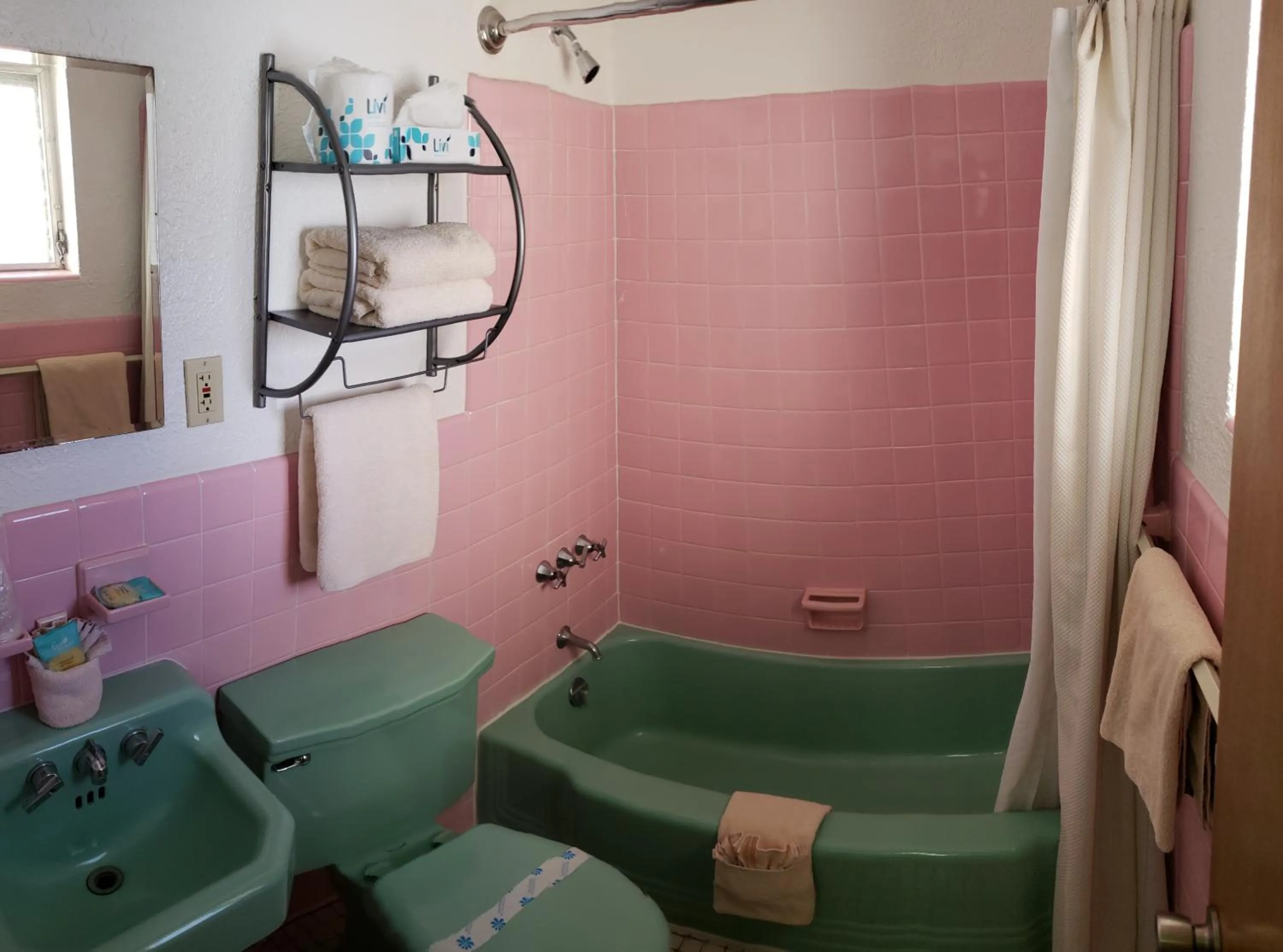 Toilet in Caribbean Motel