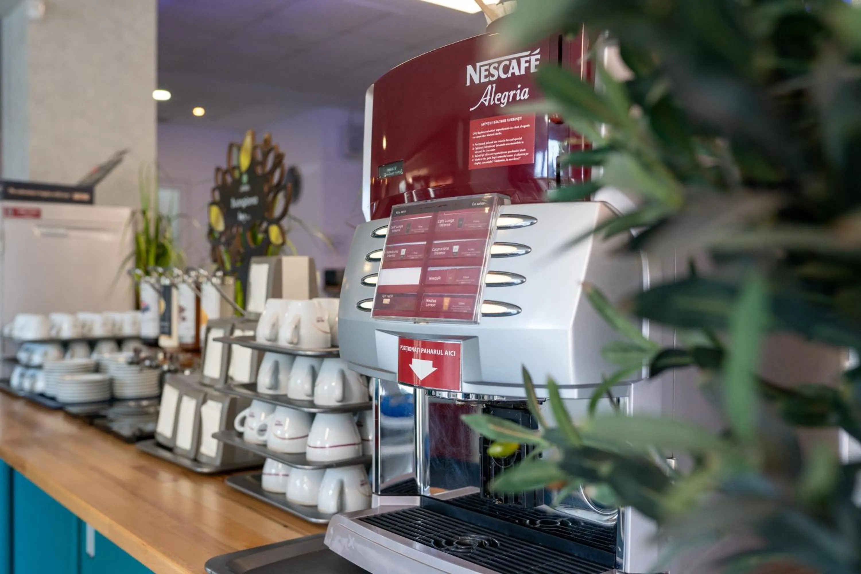 Restaurant/places to eat in Hotel Apollo