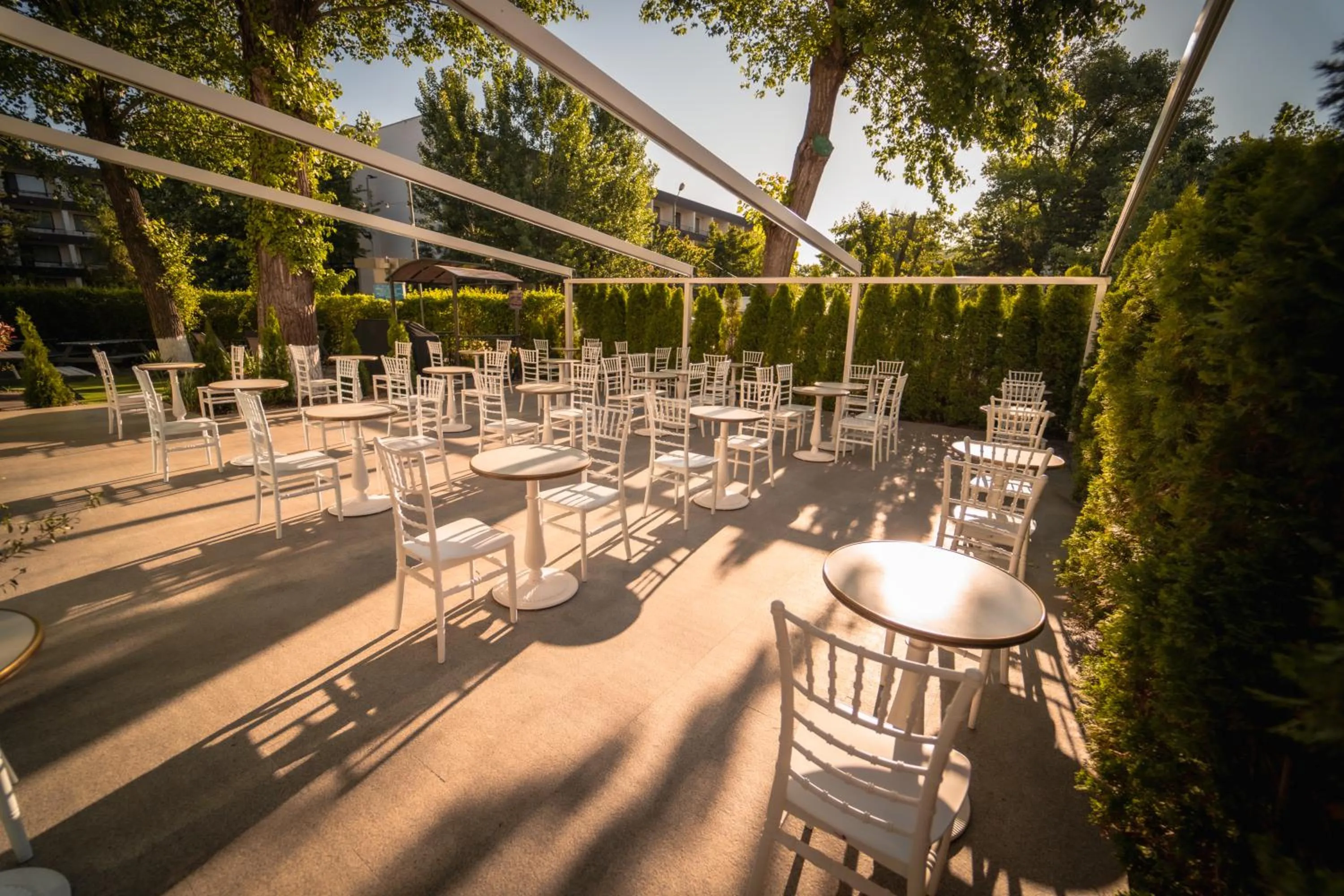 Restaurant/places to eat in Hotel Apollo