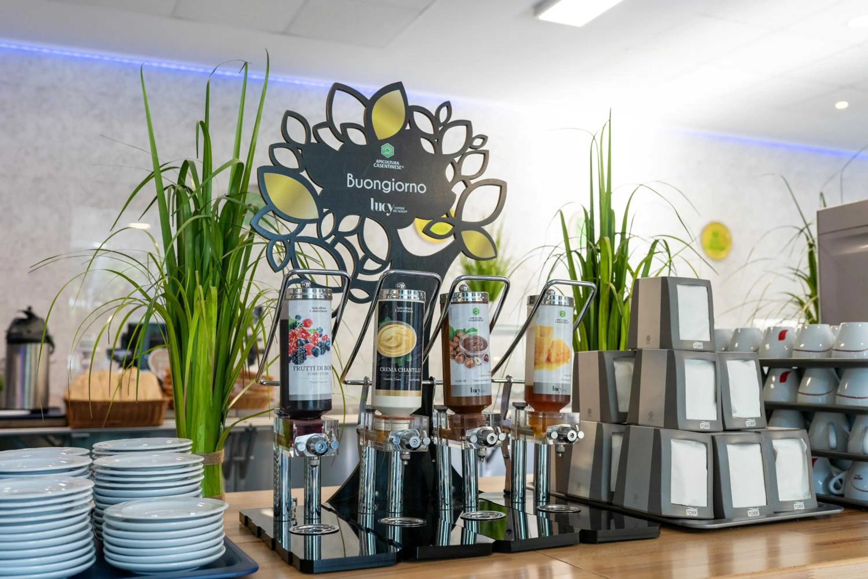 Restaurant/places to eat in Hotel Apollo