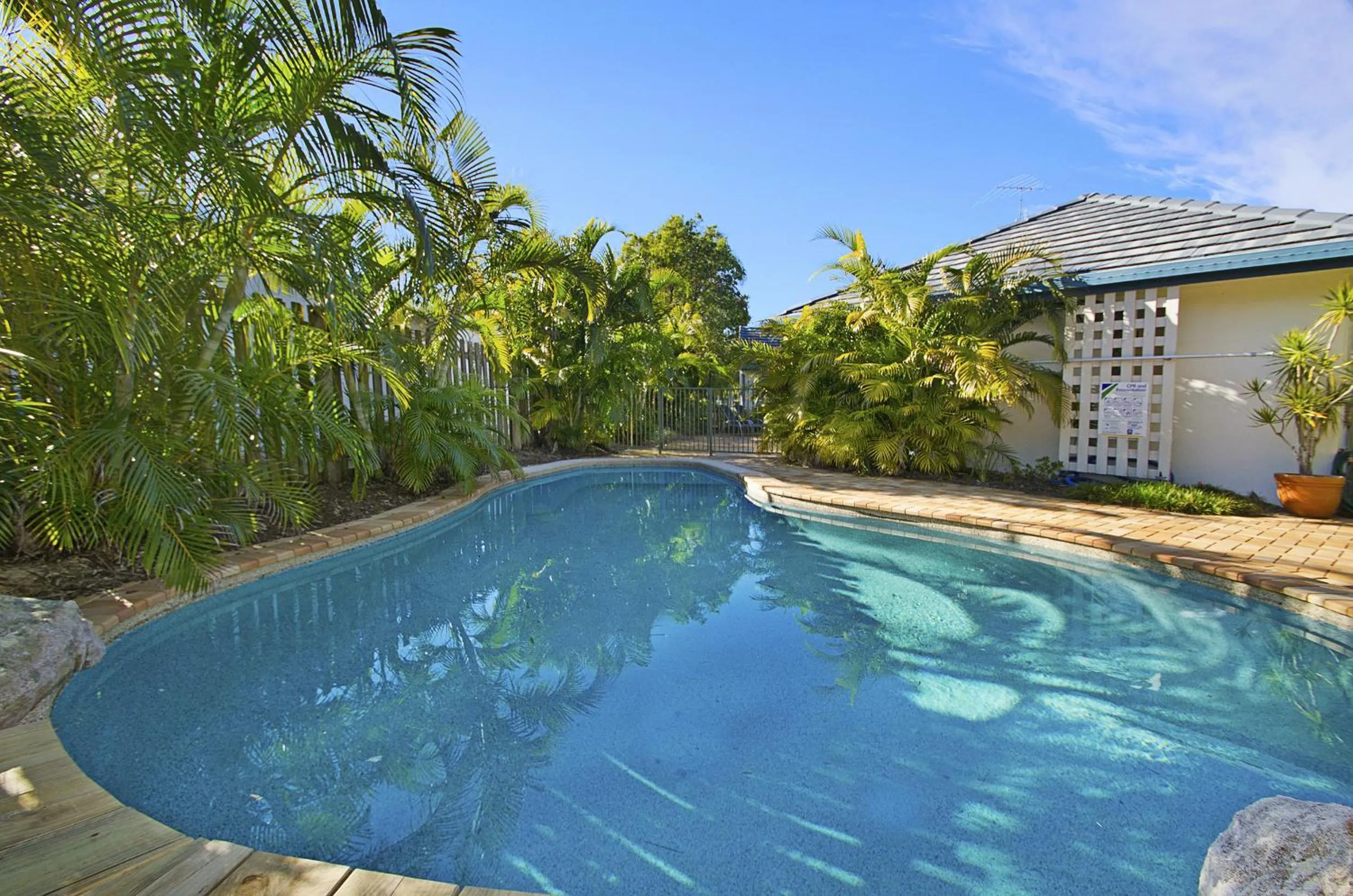 Swimming Pool in 44 Cooran Court