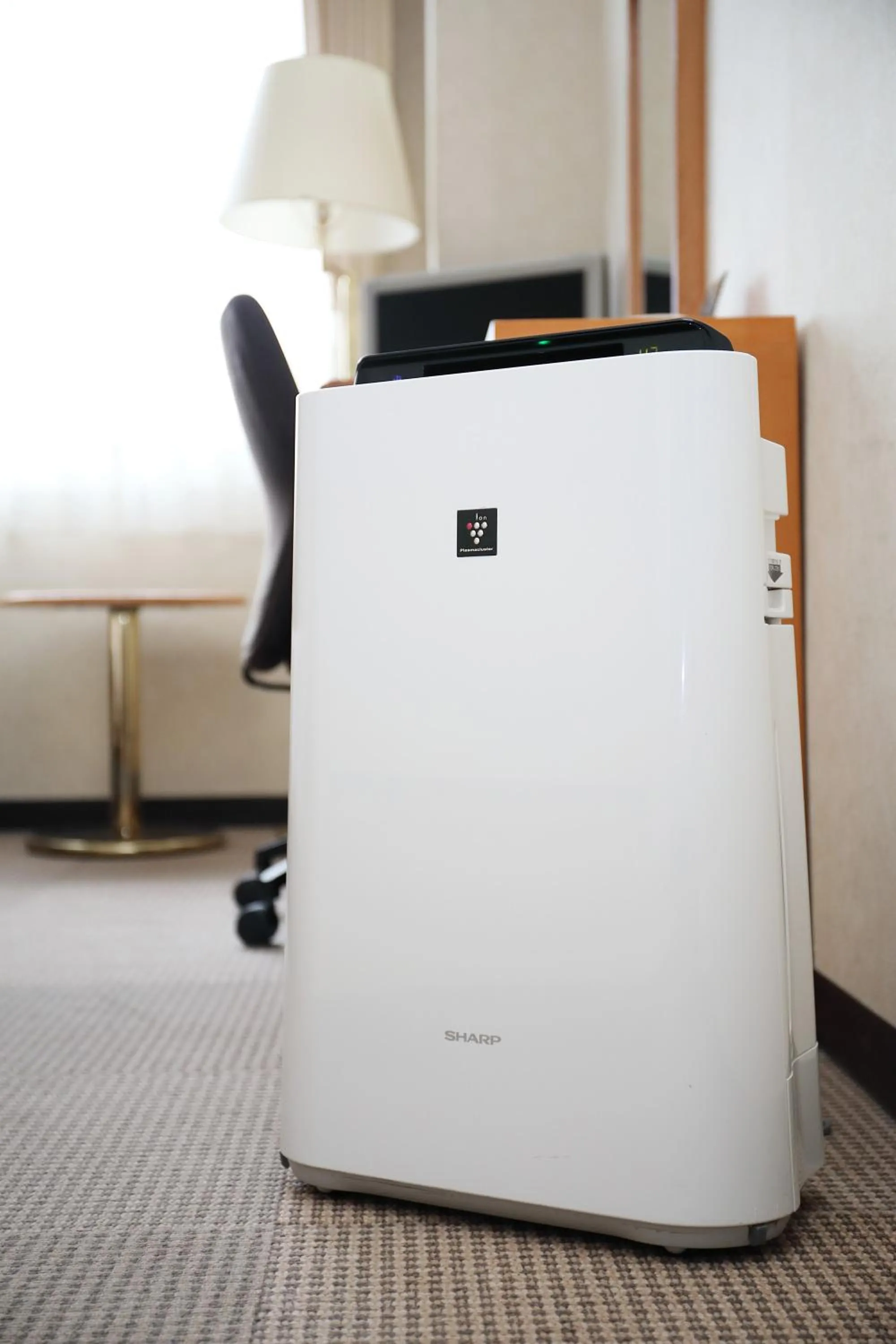 Decorative detail in Toyooka Sky Hotel