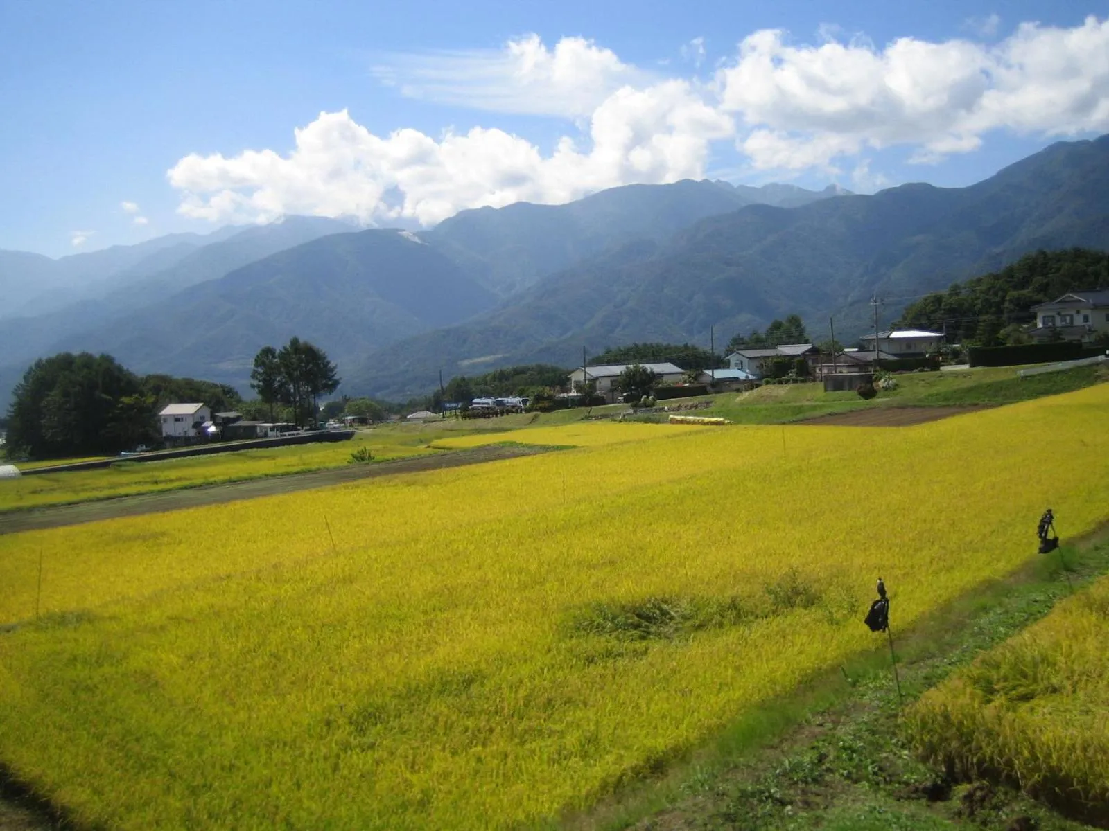 Other in Pension Field