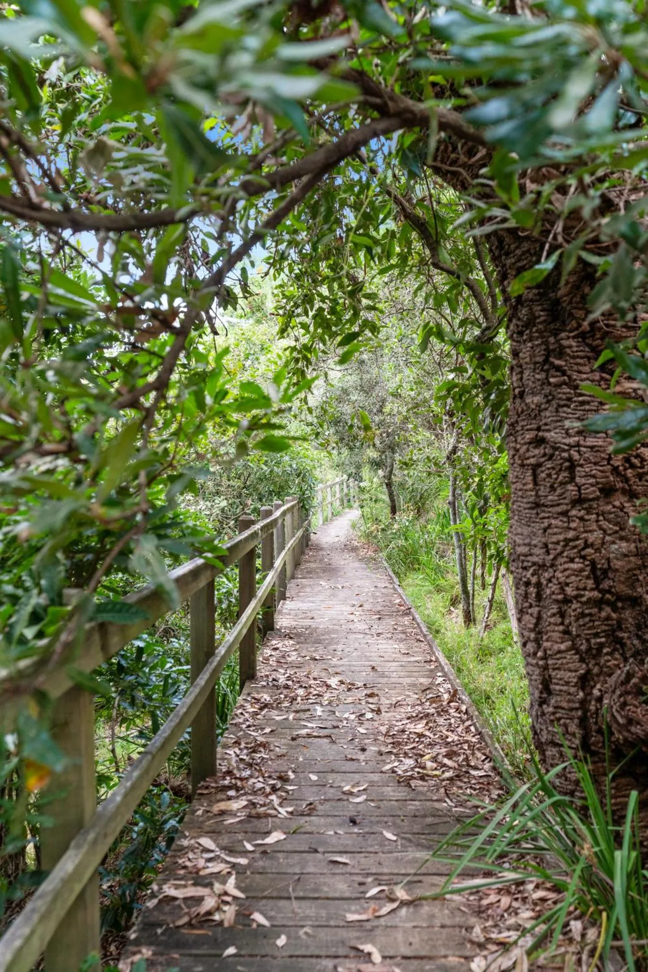 Natural landscape in Haven Holiday Resort Sussex Inlet