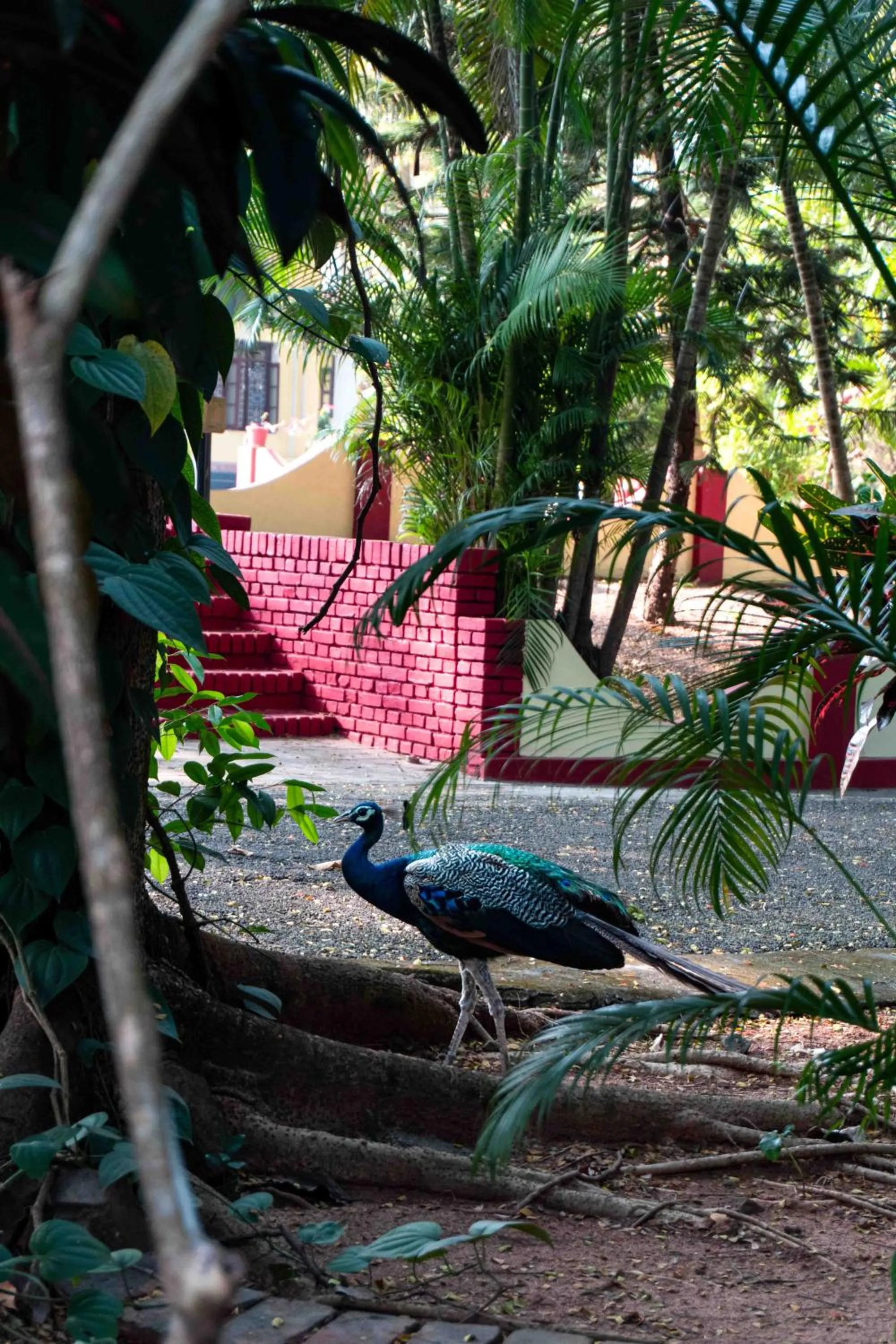 Garden view in Gama Heritage Residency
