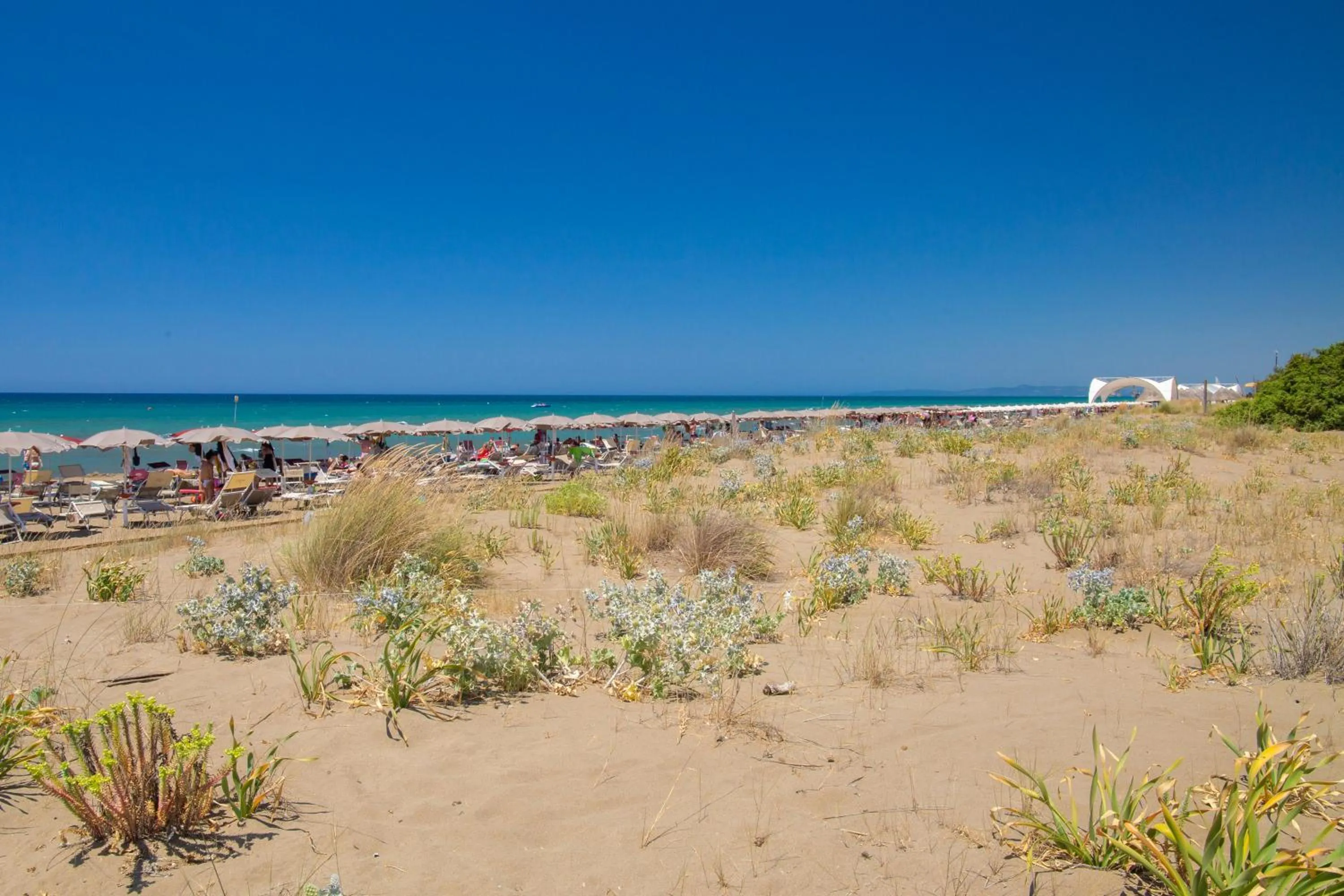 Natural landscape in Paradù EcoVillage & Resort