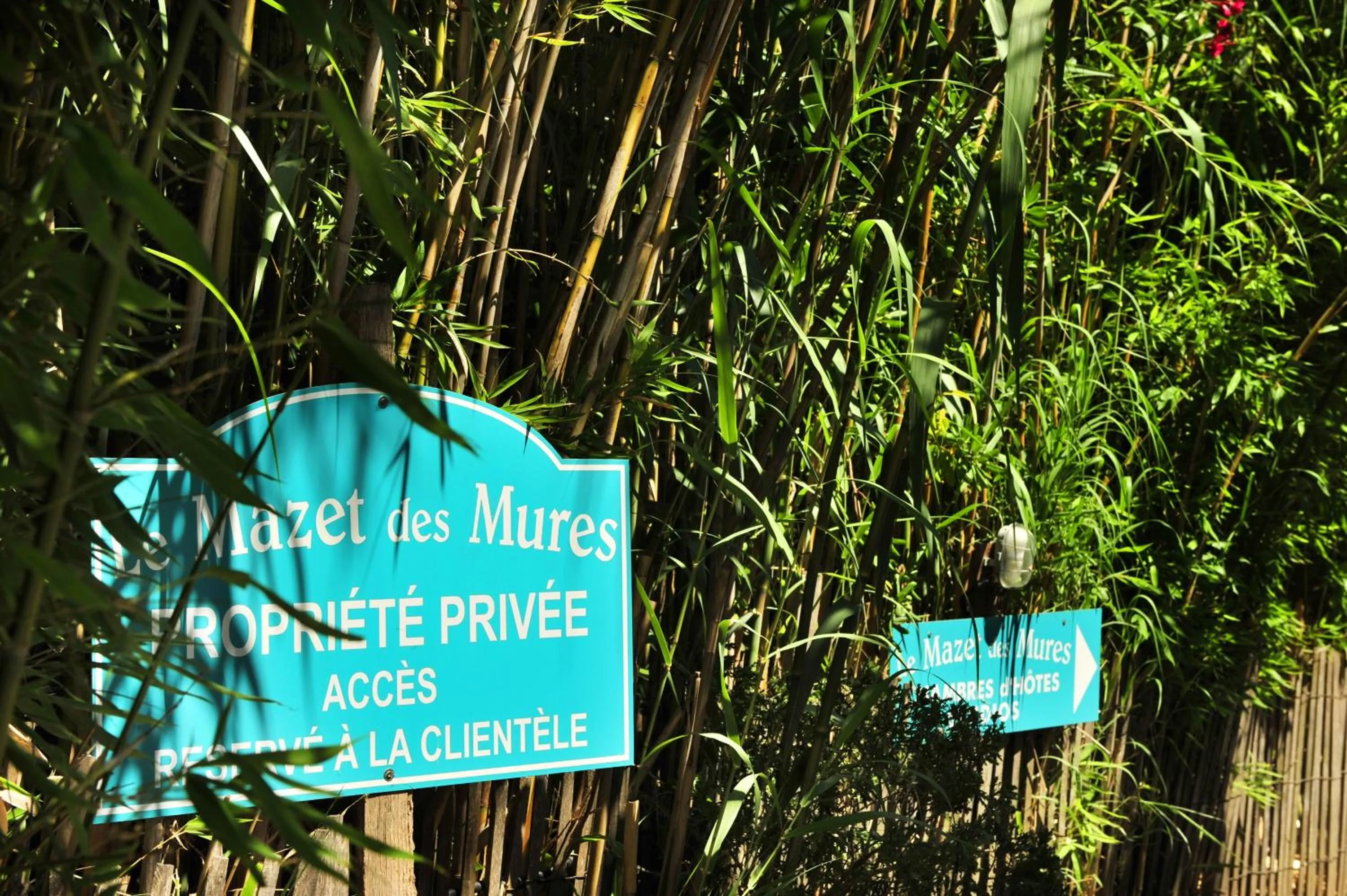 Day in Le Mazet des Mûres