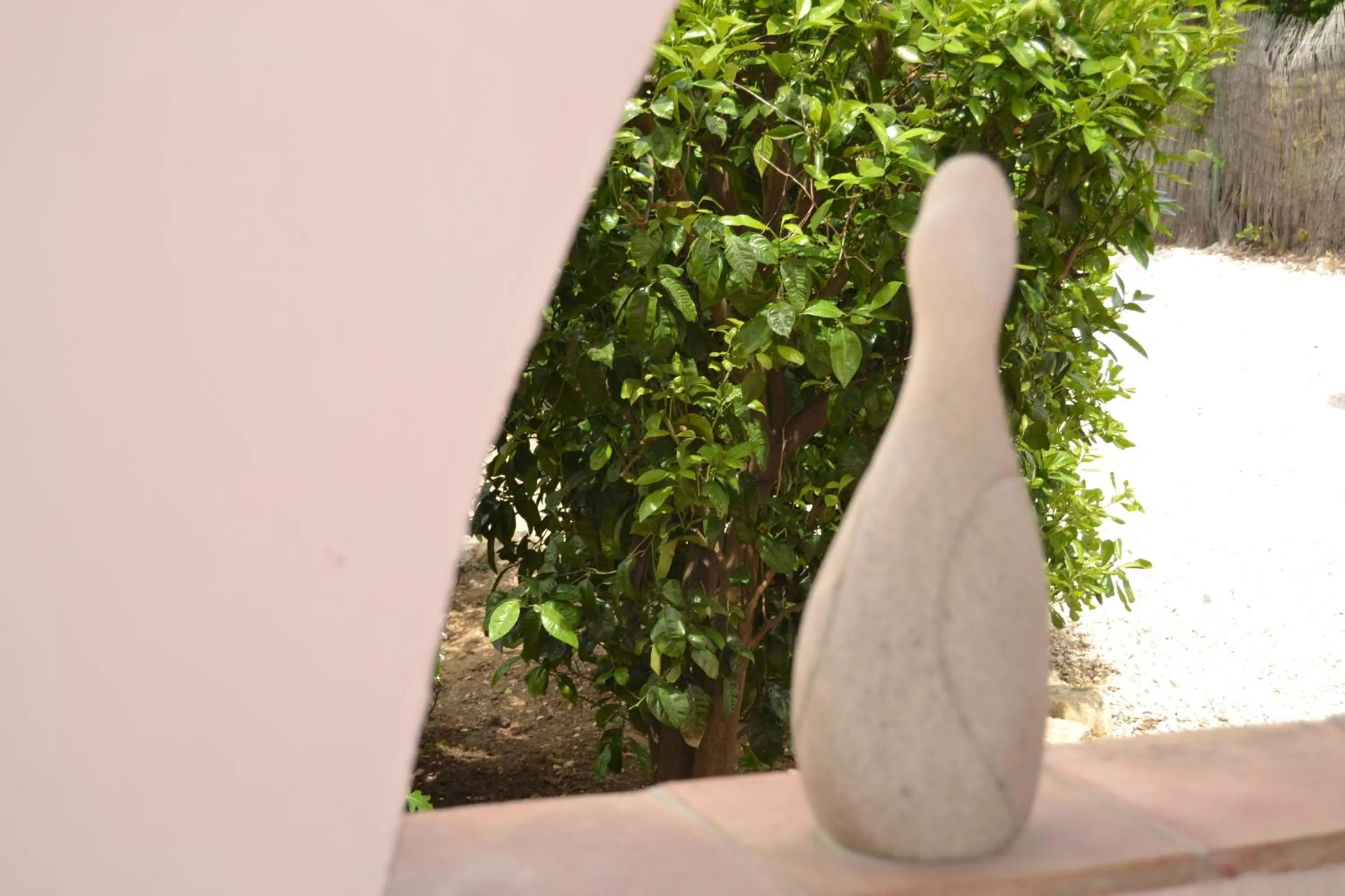 Day in Le Mazet des Mûres