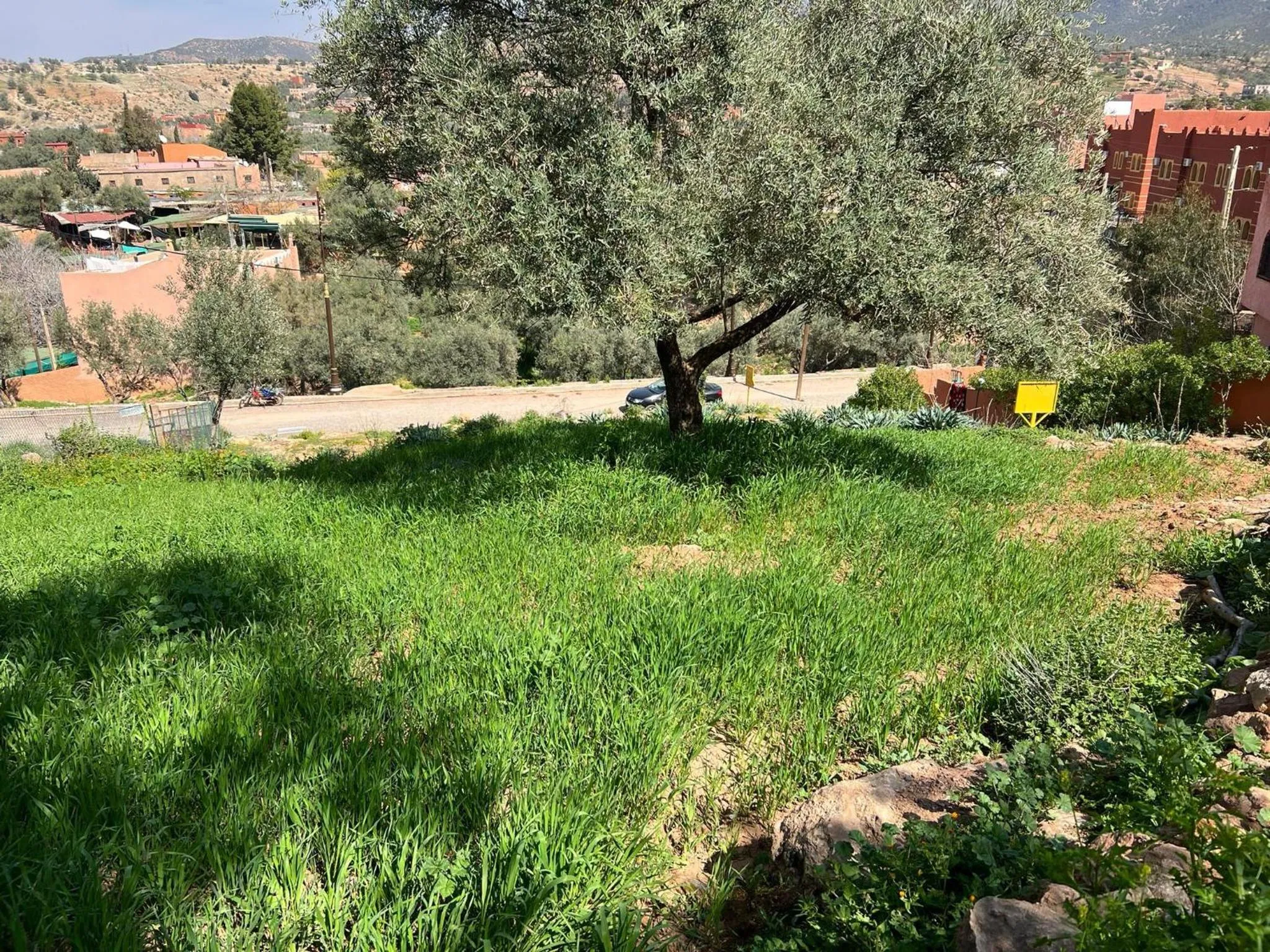 Maison d´hôtes Amazir