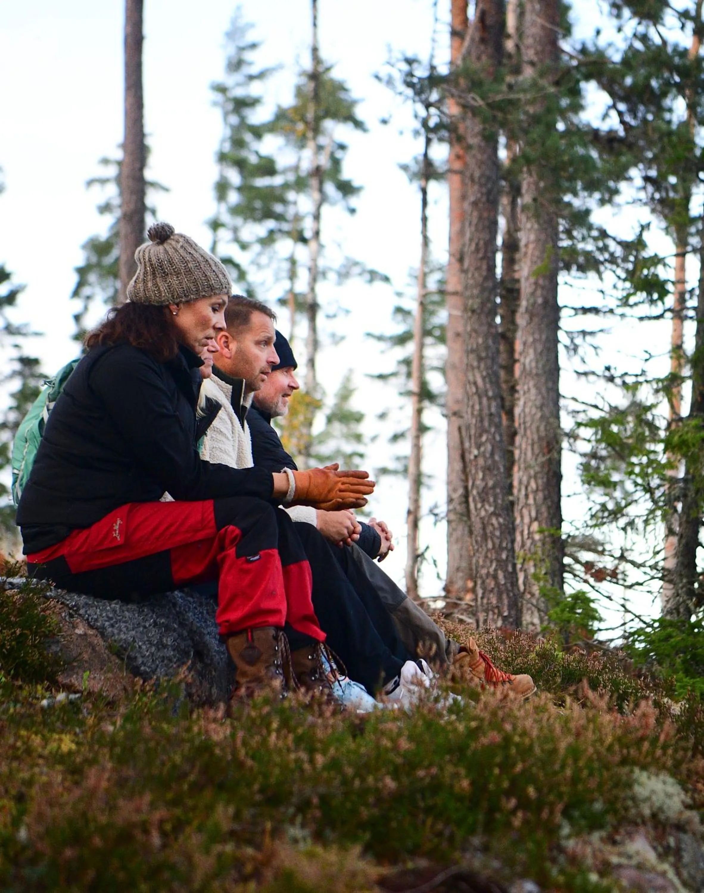 Natural landscape in Bauergården