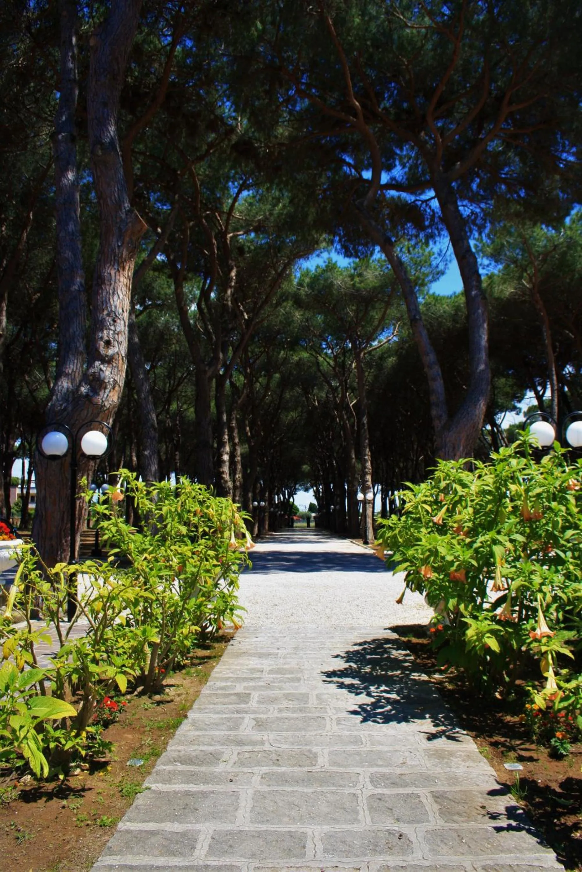 La Pineta Dei Liberti