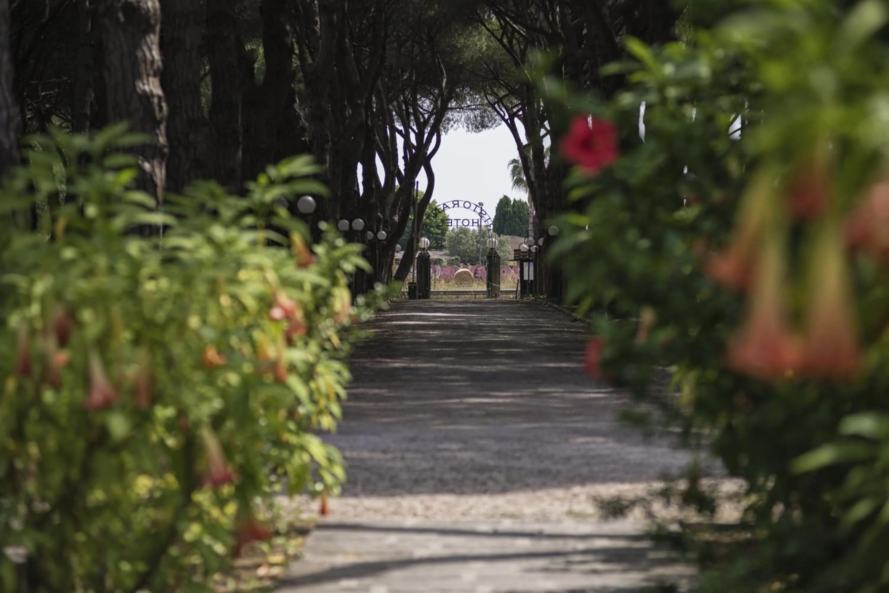 Facade/entrance in La Pineta Dei Liberti