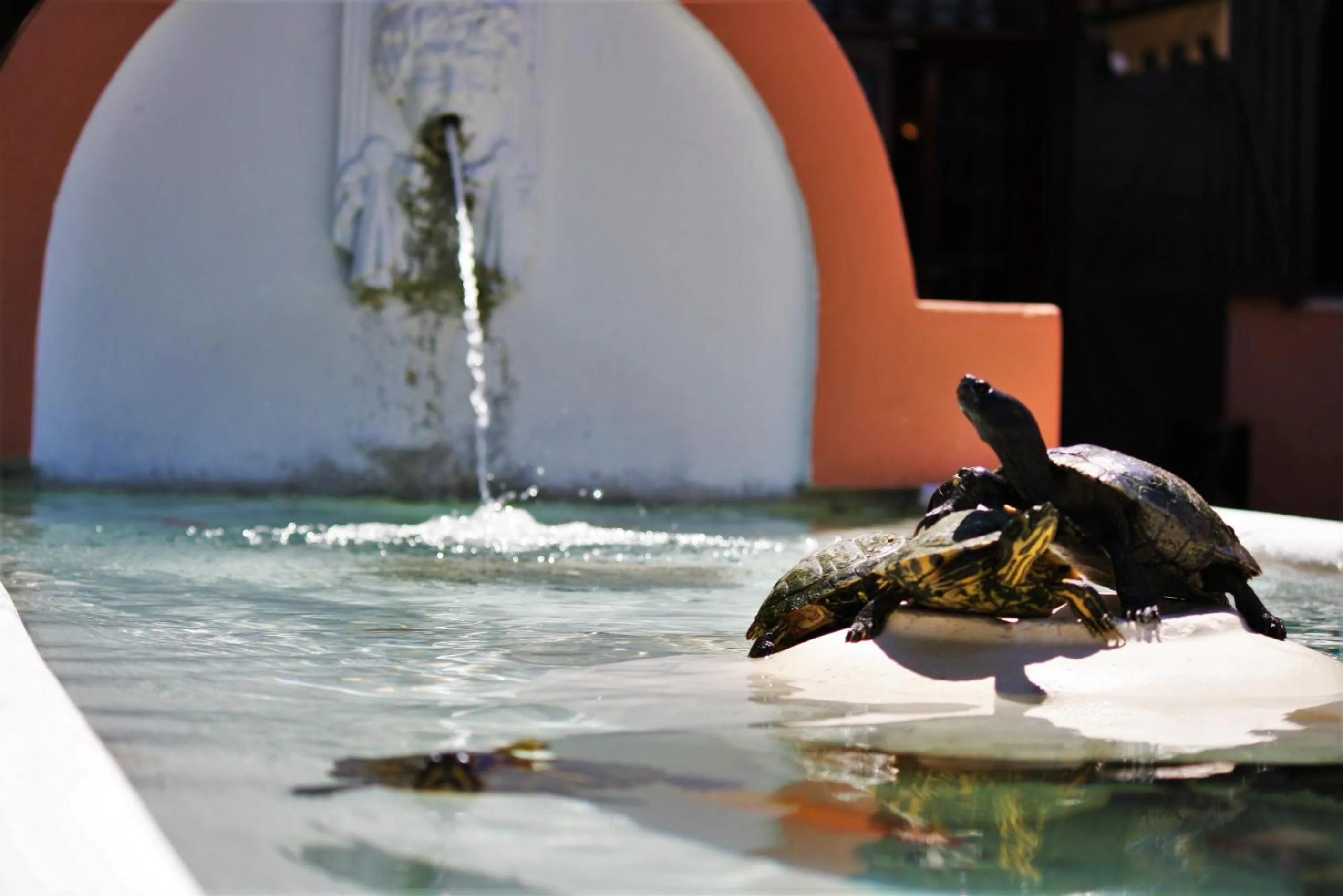 La Pineta Dei Liberti
