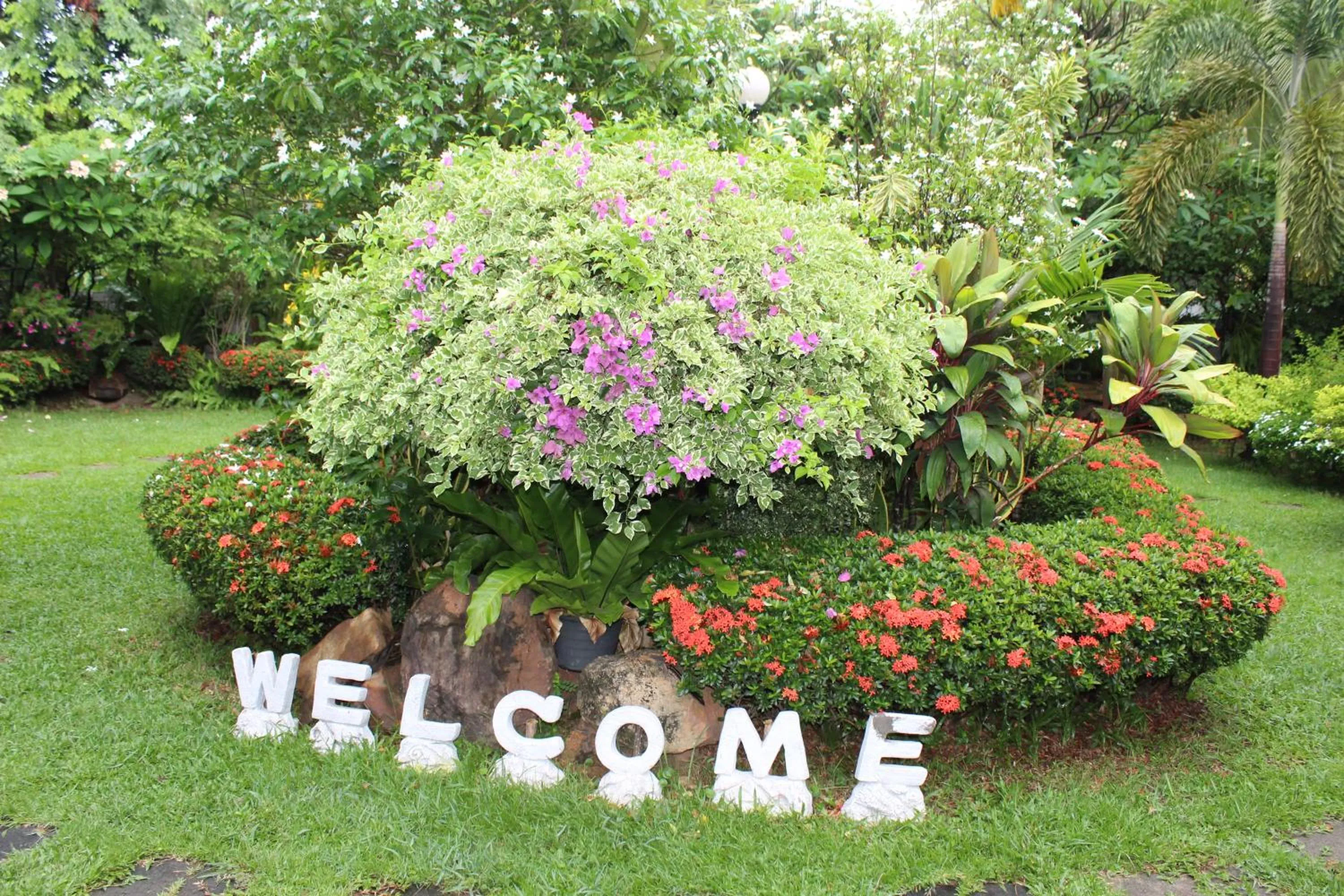 Garden in White Elephant Resort