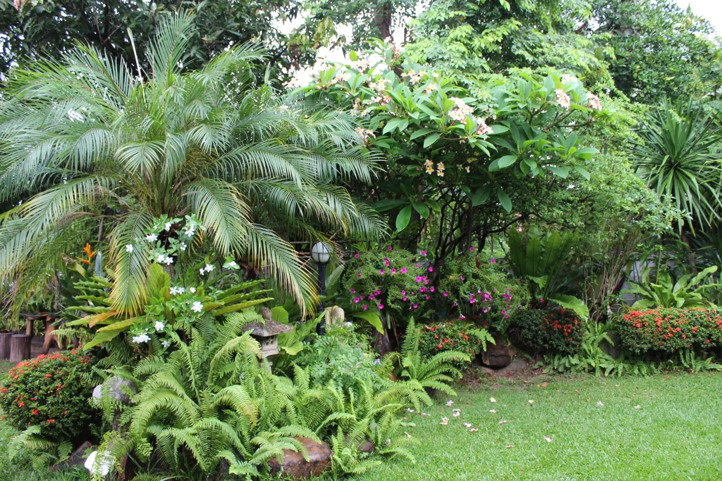 Garden in White Elephant Resort