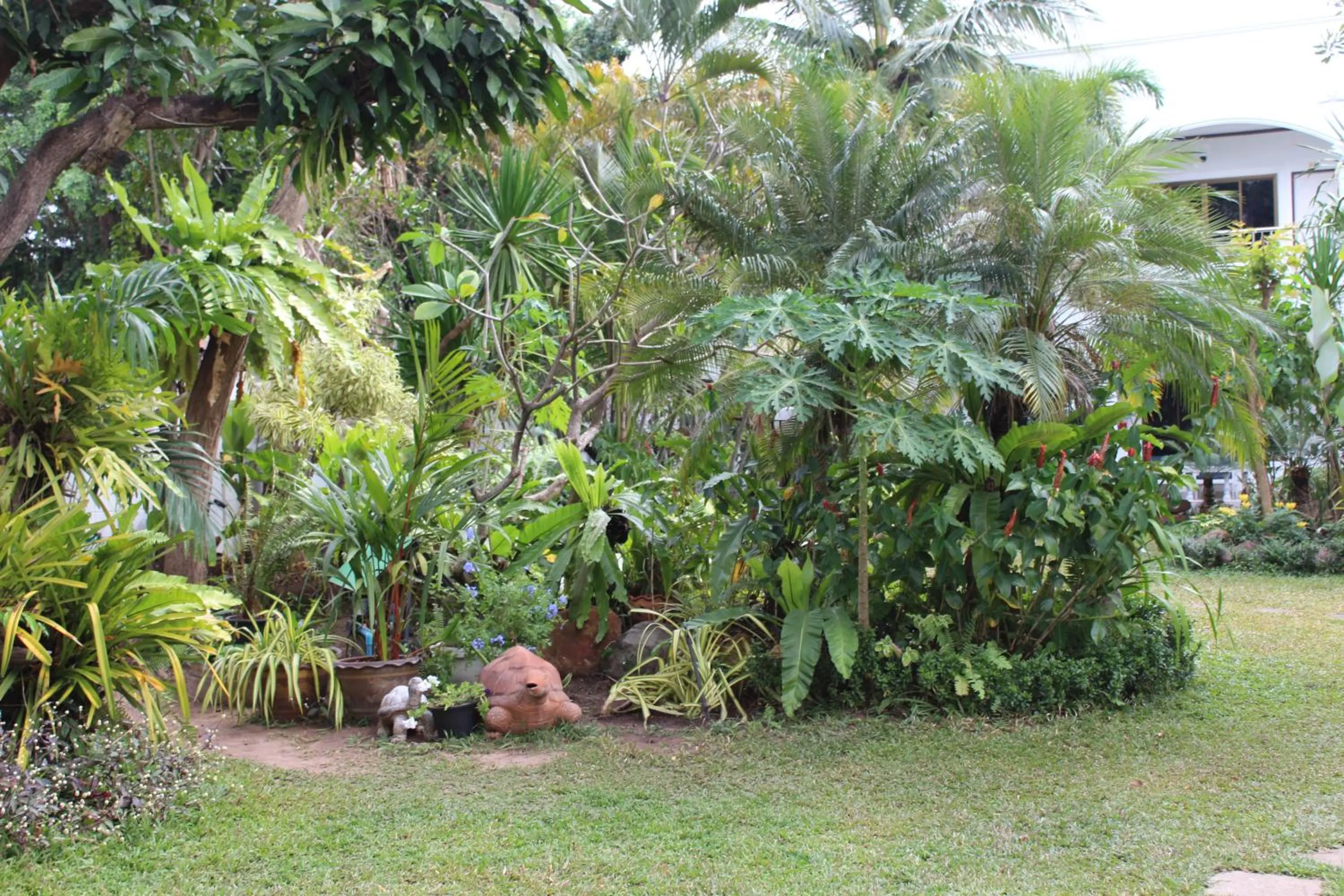 Garden in White Elephant Resort