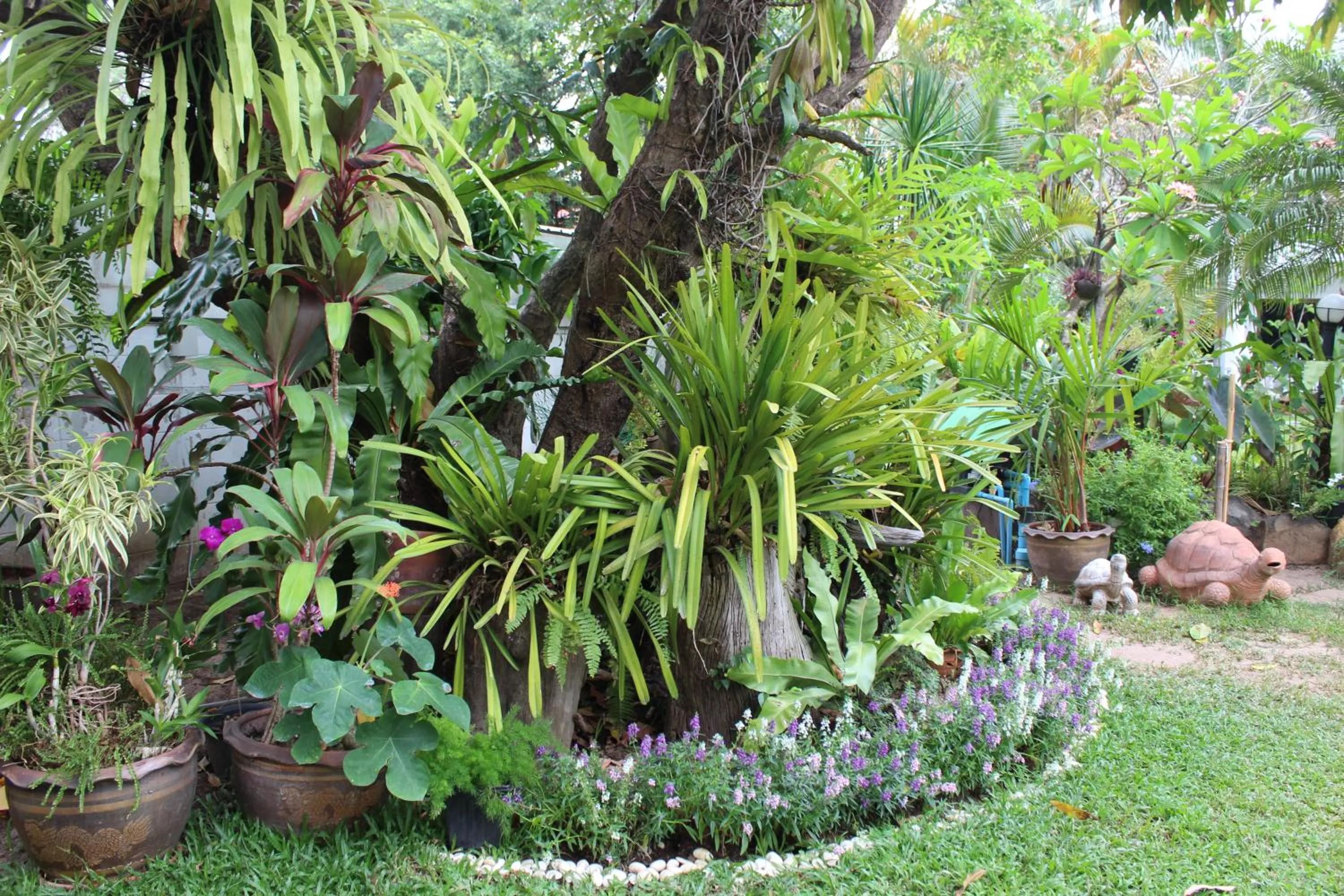 White Elephant Resort