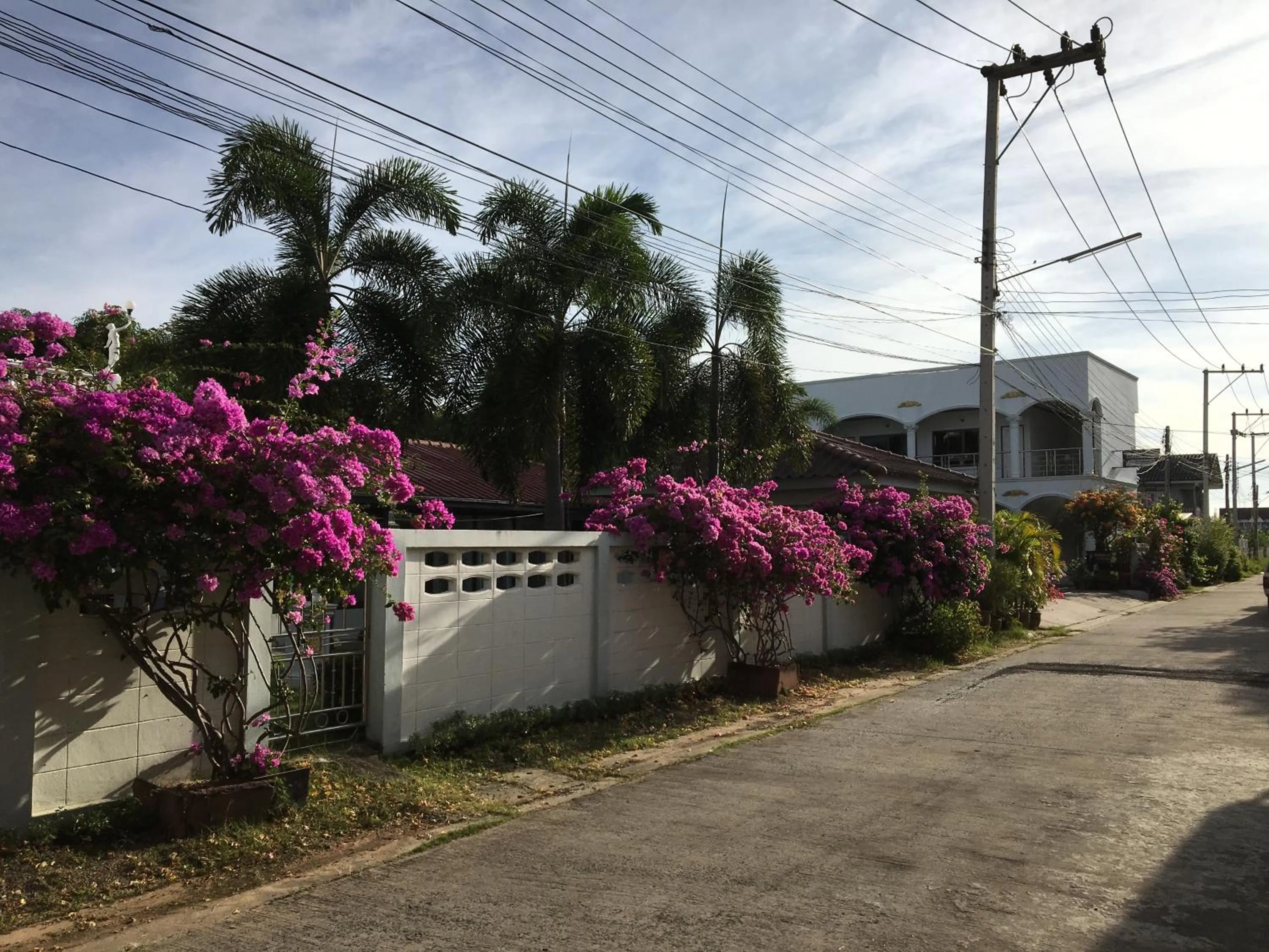 Property building in White Elephant Resort