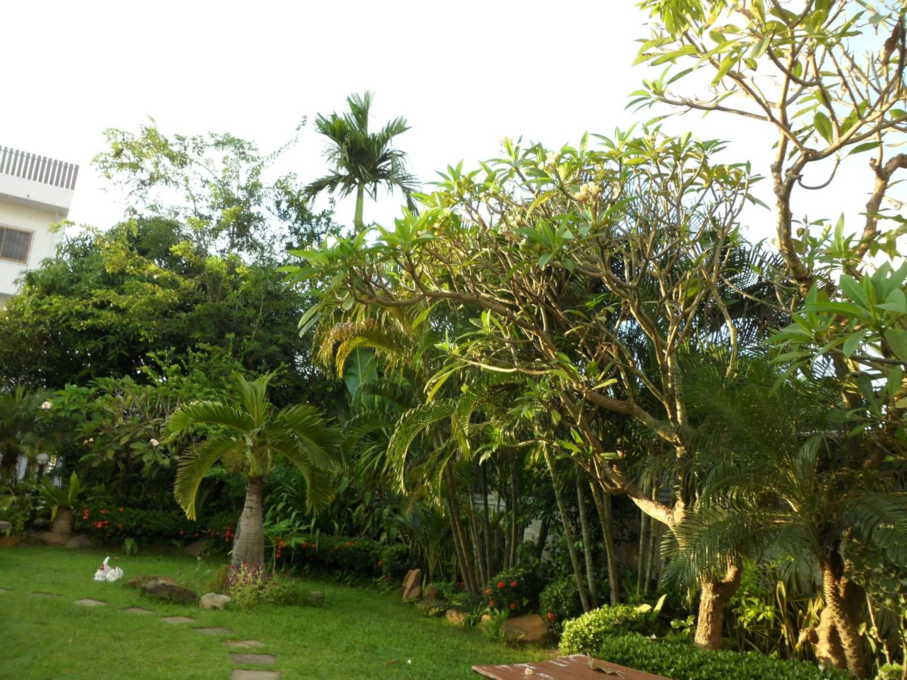 Garden view in White Elephant Resort