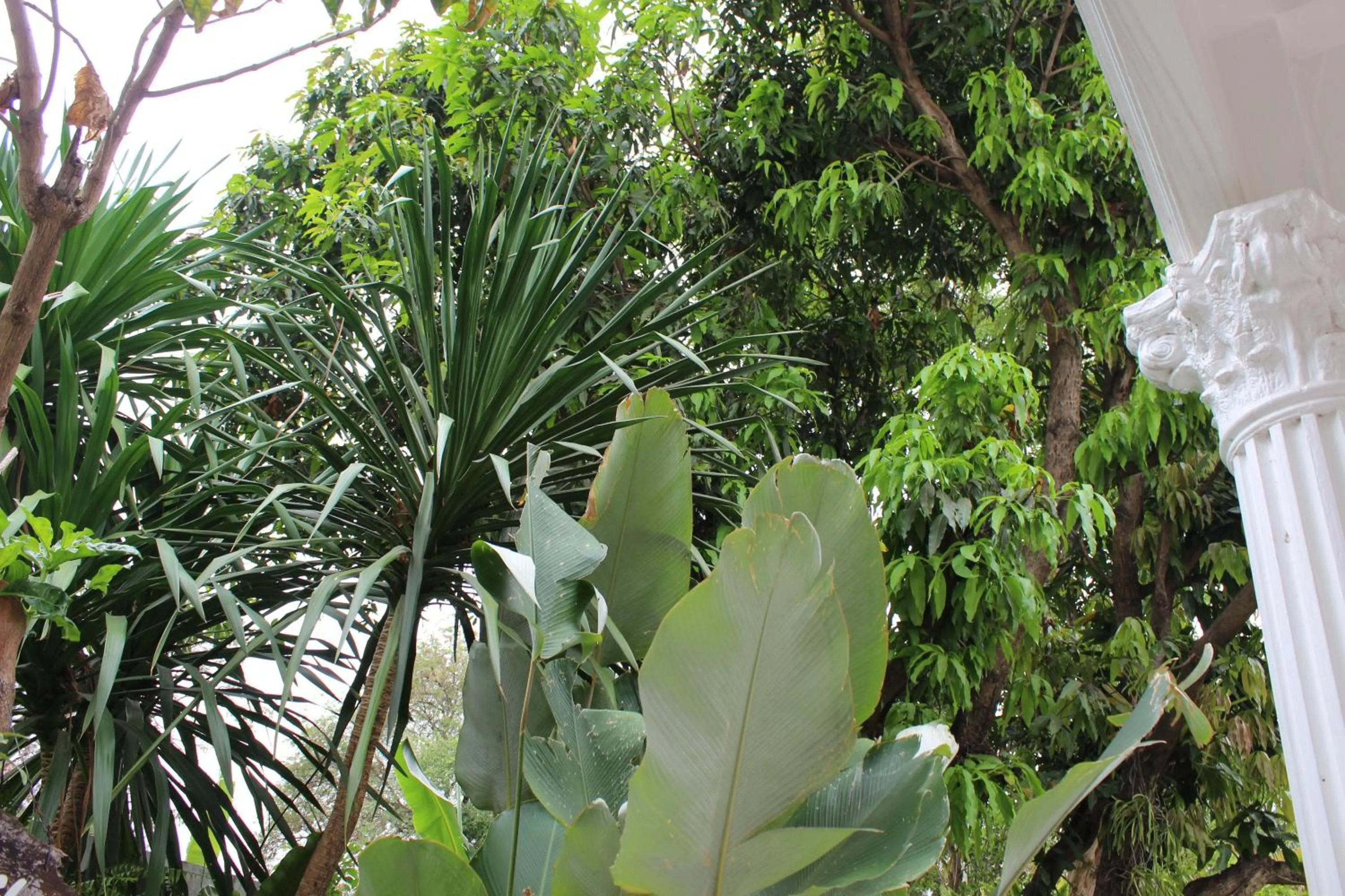 White Elephant Resort