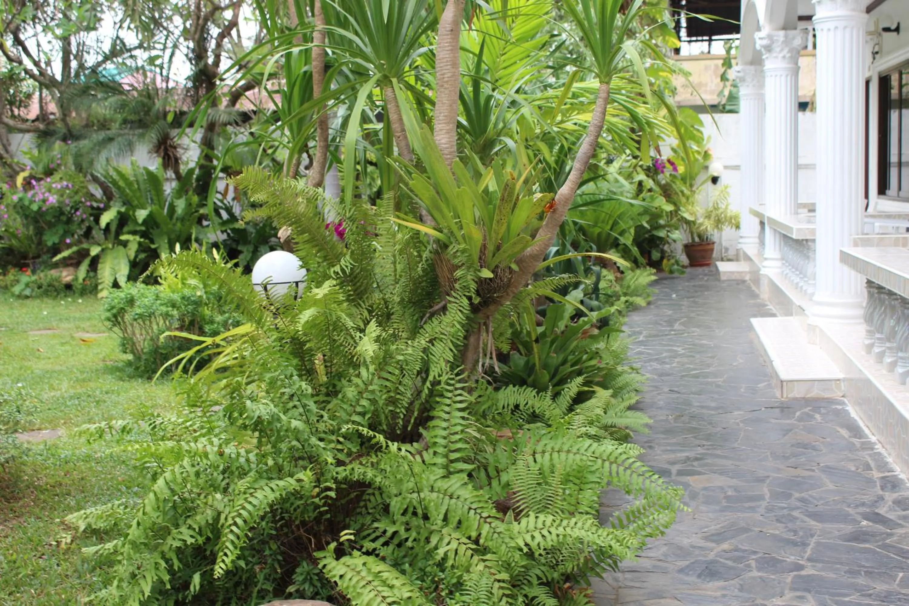 White Elephant Resort