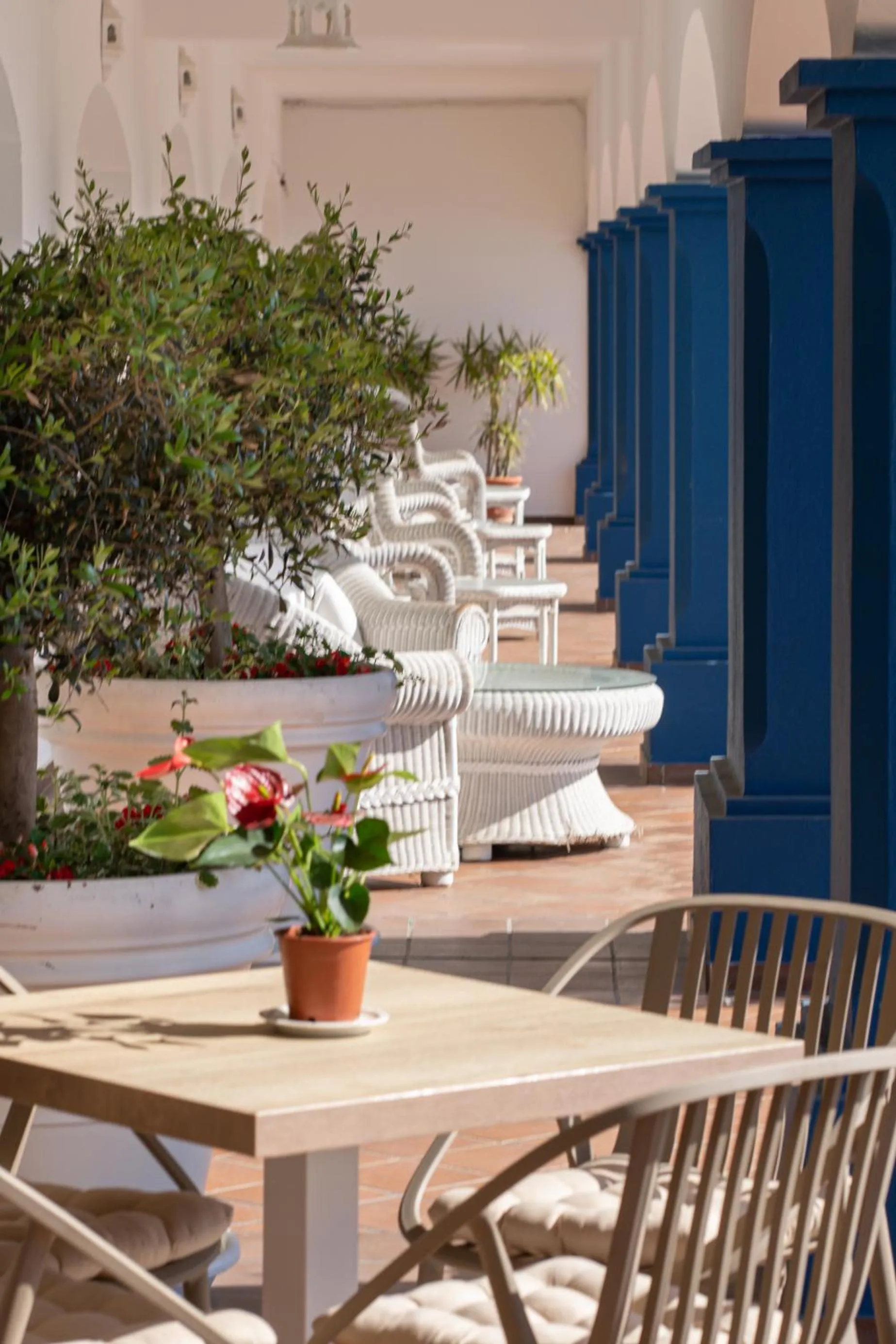 Facade/entrance in Hotel Piedra Paloma by Croma